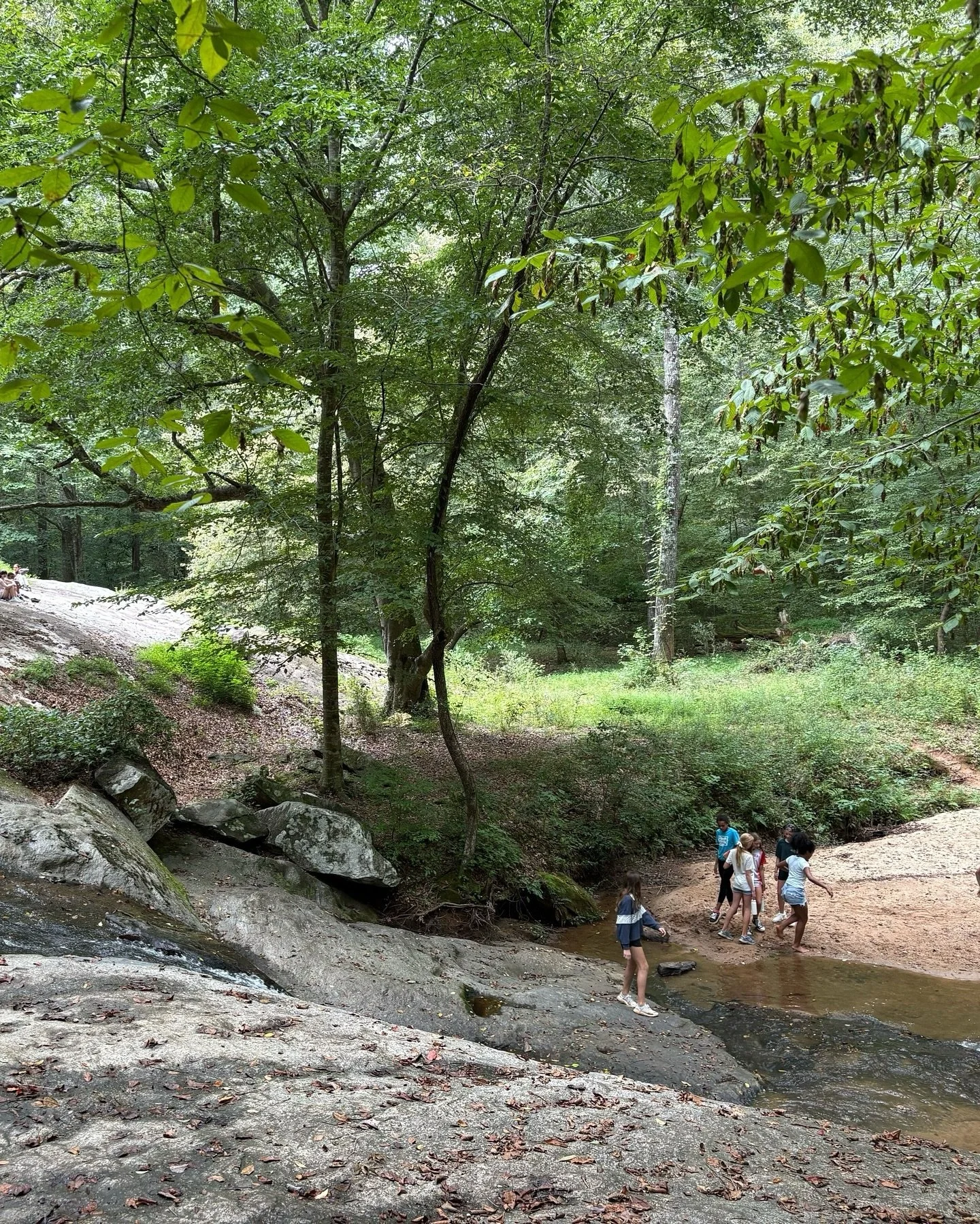 regular trips to the waterfall never get old!

terra&rsquo;s location in @serenbe offers students immediate access to over 24 miles of hiking trails, two waterfalls, and three public gardens. In our educational philosophy, the natural environment ass