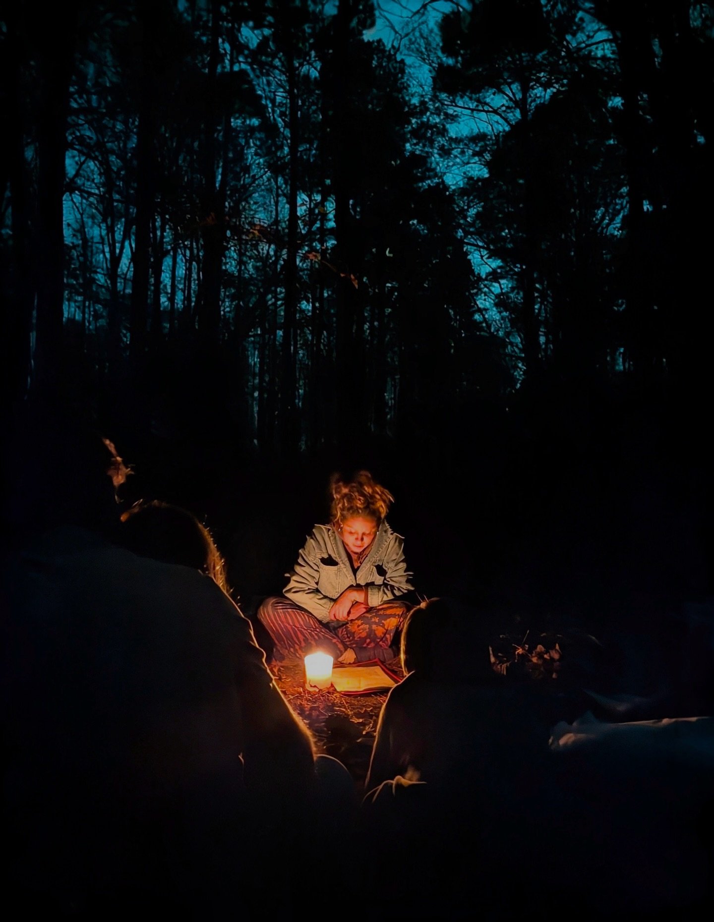 A terra education is unique, not just because of what happens inside the classroom, but also what happens outside of it. As part of our new outdoor education program, Ms Marika is leading exploration in our natural world: connecting students to the w