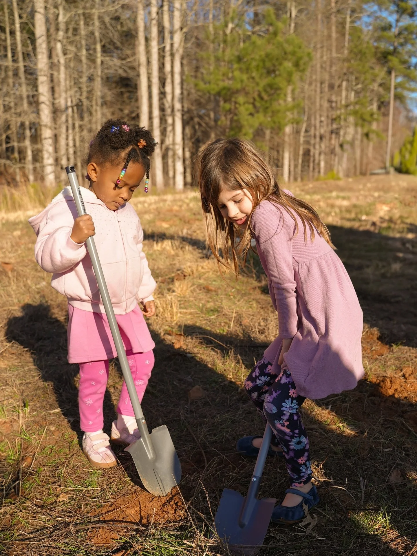 all the humans - big and small - are excited to see construction underway on our new Hidden Library!