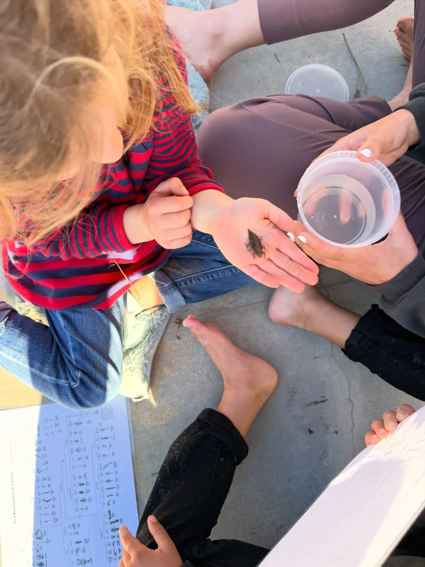 When we say our students have an expansive classroom experience &mdash; they are, quite literally, learning from the creeks and streams and woods surrounding our school. 

Our Outdoor Ed curriculum with Ms. Marika helps them learn from, identify, and