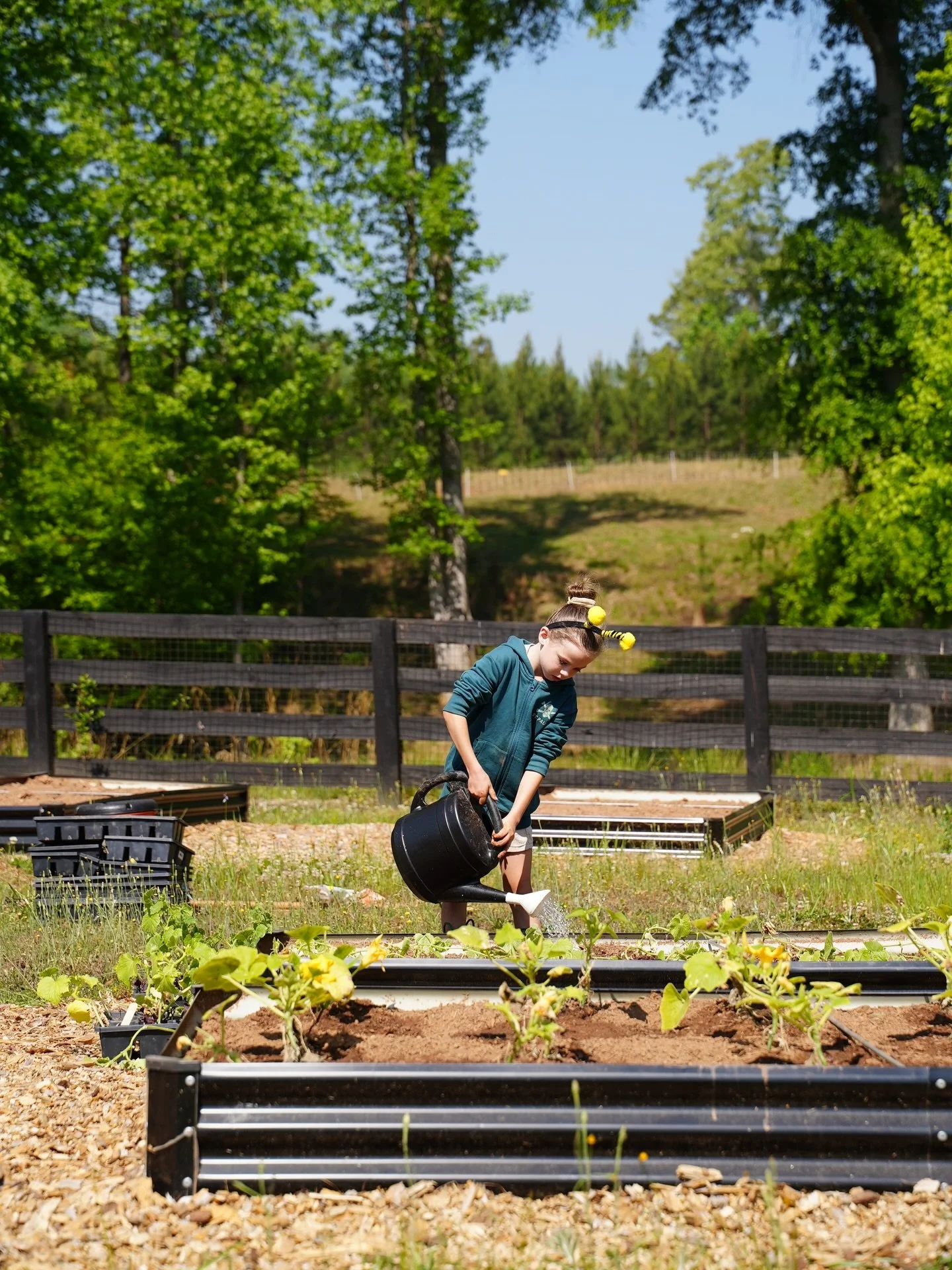from veggies to pollinators to sustainability &mdash; learning occurs way beyond our classroom walls.
