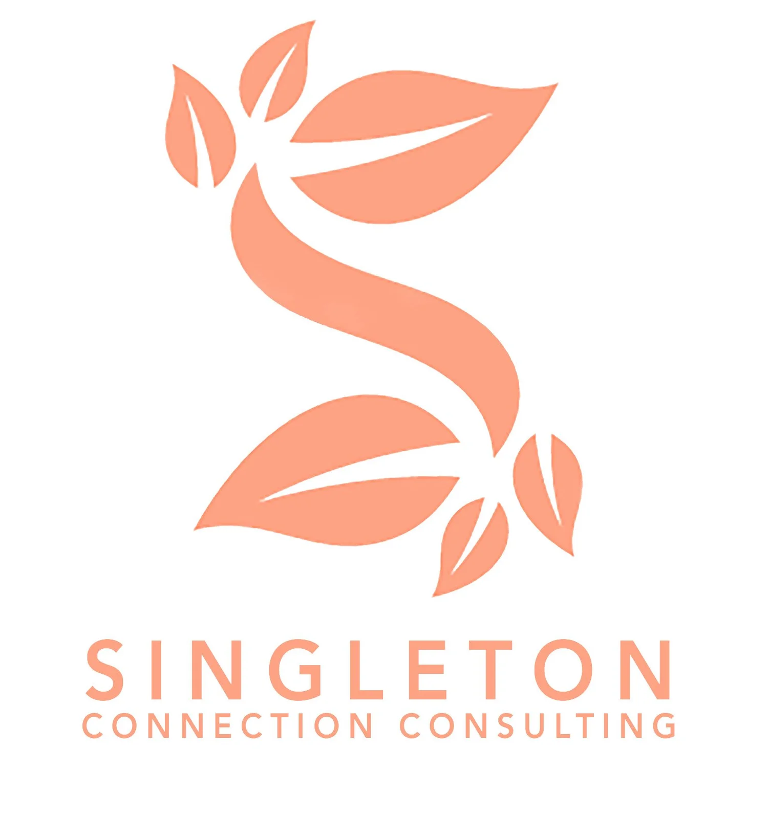 Singleton Connect Consulting