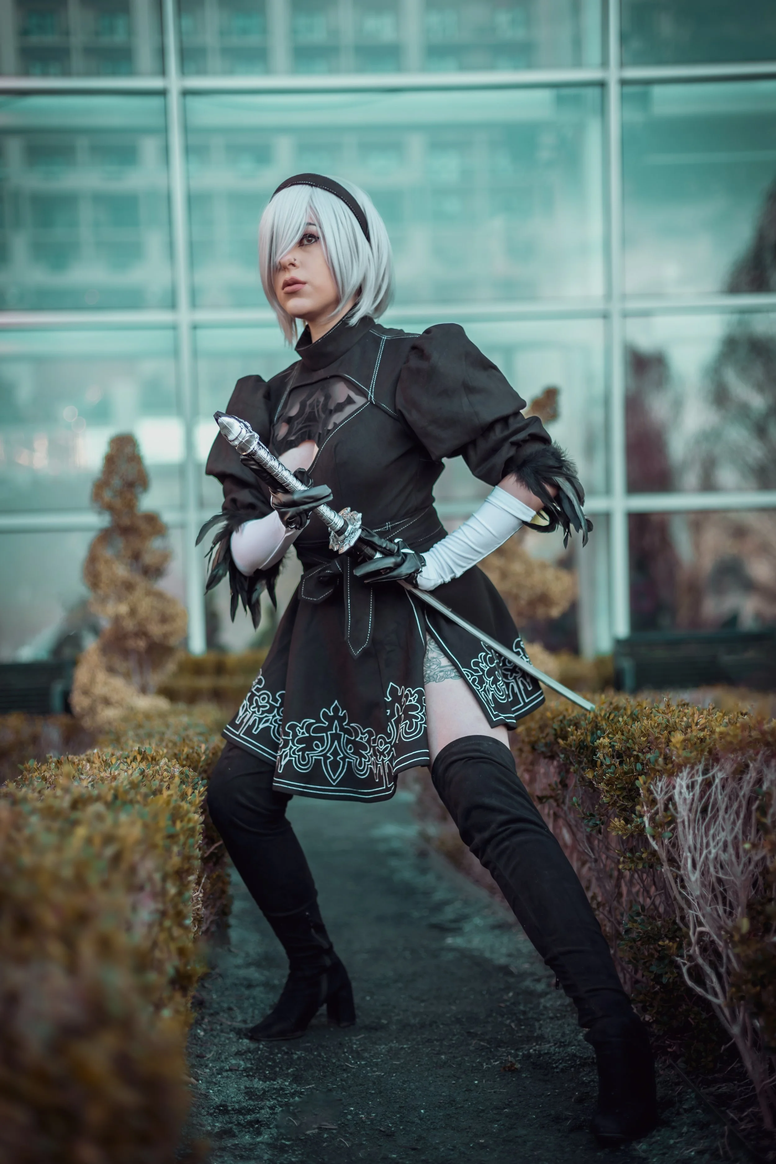 Katsu2B_V01.jpg