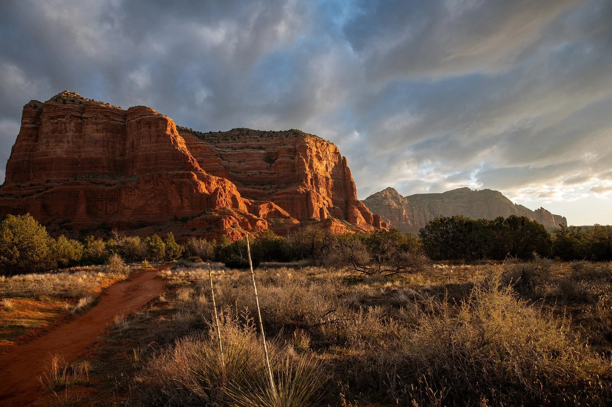 © Leigh and Raymond Polen