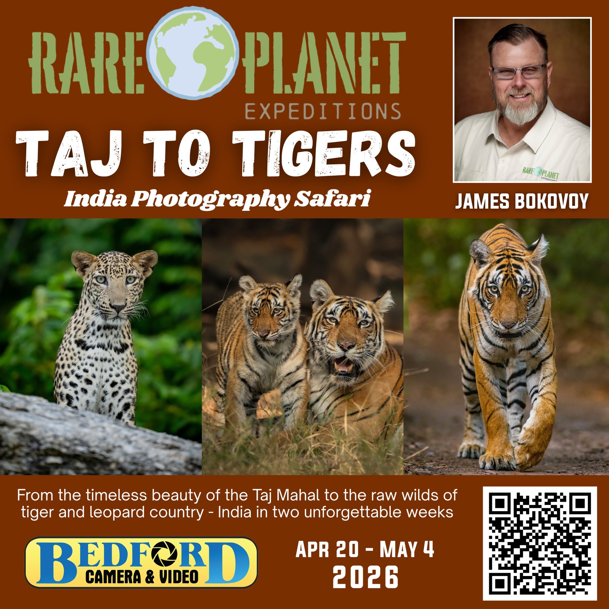 Taj to Tigers: India Big Cat Safari
From the shimmering white marble of the Taj Mahal to the untamed wilds of tiger and leopard country&mdash;experience India in two unforgettable weeks with Bedford Camera &amp; Rare Planet Expeditions, led by the in