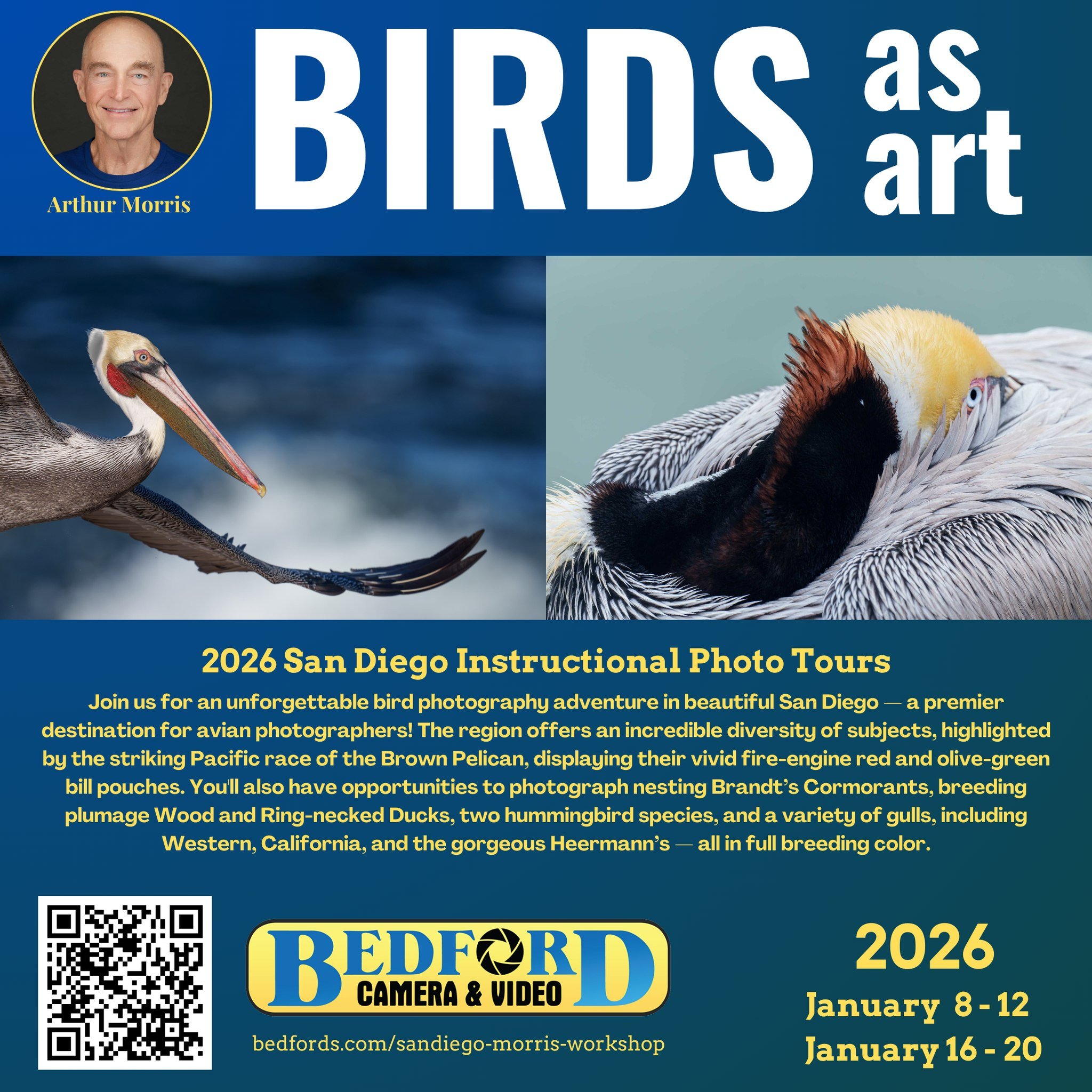 Join Arthur Morris for the San Diego &ldquo;Birds as Art&rdquo; Workshop

Experience an unforgettable bird photography adventure along the Pacific coast. San Diego offers one of the most diverse and vibrant collections of avian subjects anywhere in N