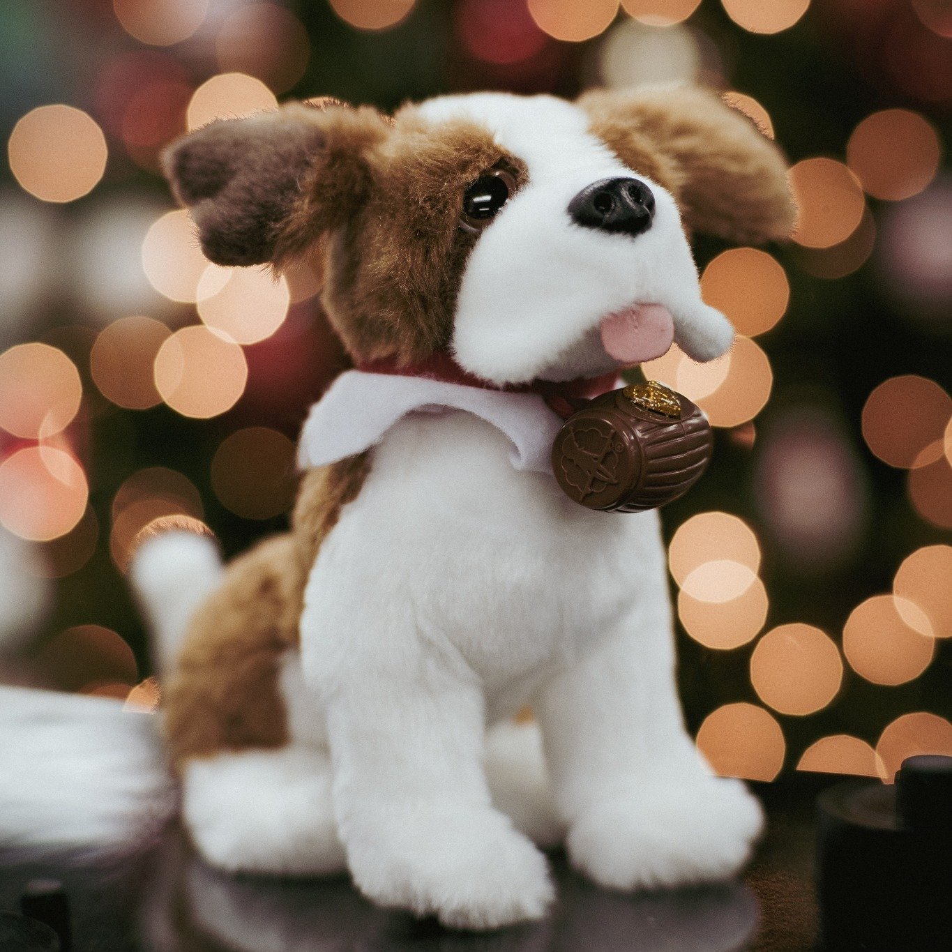 OKC friends &mdash; meet our Holiday Puppy!

This little good-luck pup is officially joining the Bedford Camera &amp; Video OKC team for the season, and they&rsquo;ve got one job: sniff out the BEST holiday deals, point you toward the good stuff, and