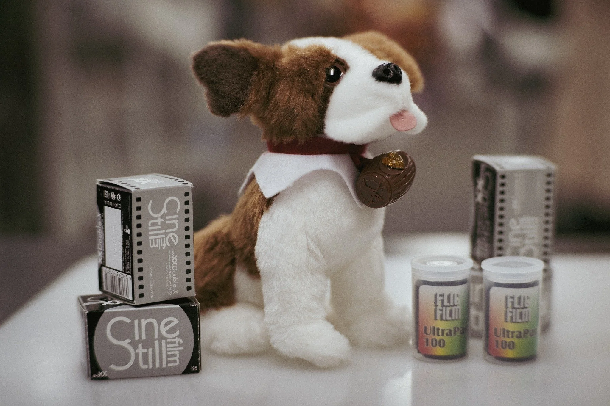 OKC friends &mdash; meet our Holiday Puppy!

This little good-luck pup is officially joining the Bedford Camera &amp; Video OKC team for the season, and they&rsquo;ve got one job: sniff out the BEST holiday deals, point you toward the good stuff, and