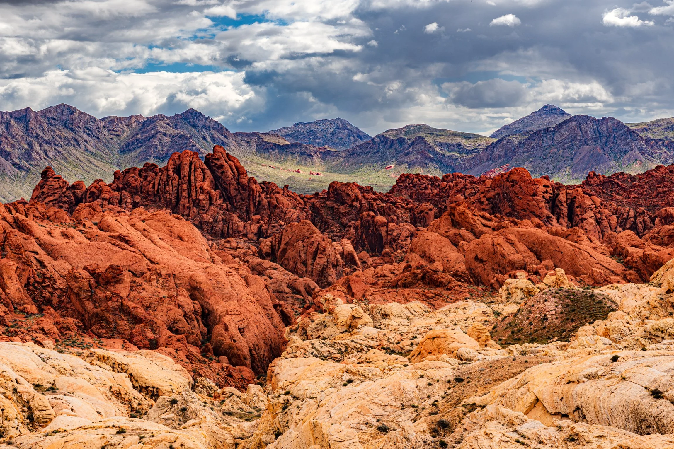 AlexKent_H_ValleyofFire_1266.jpg