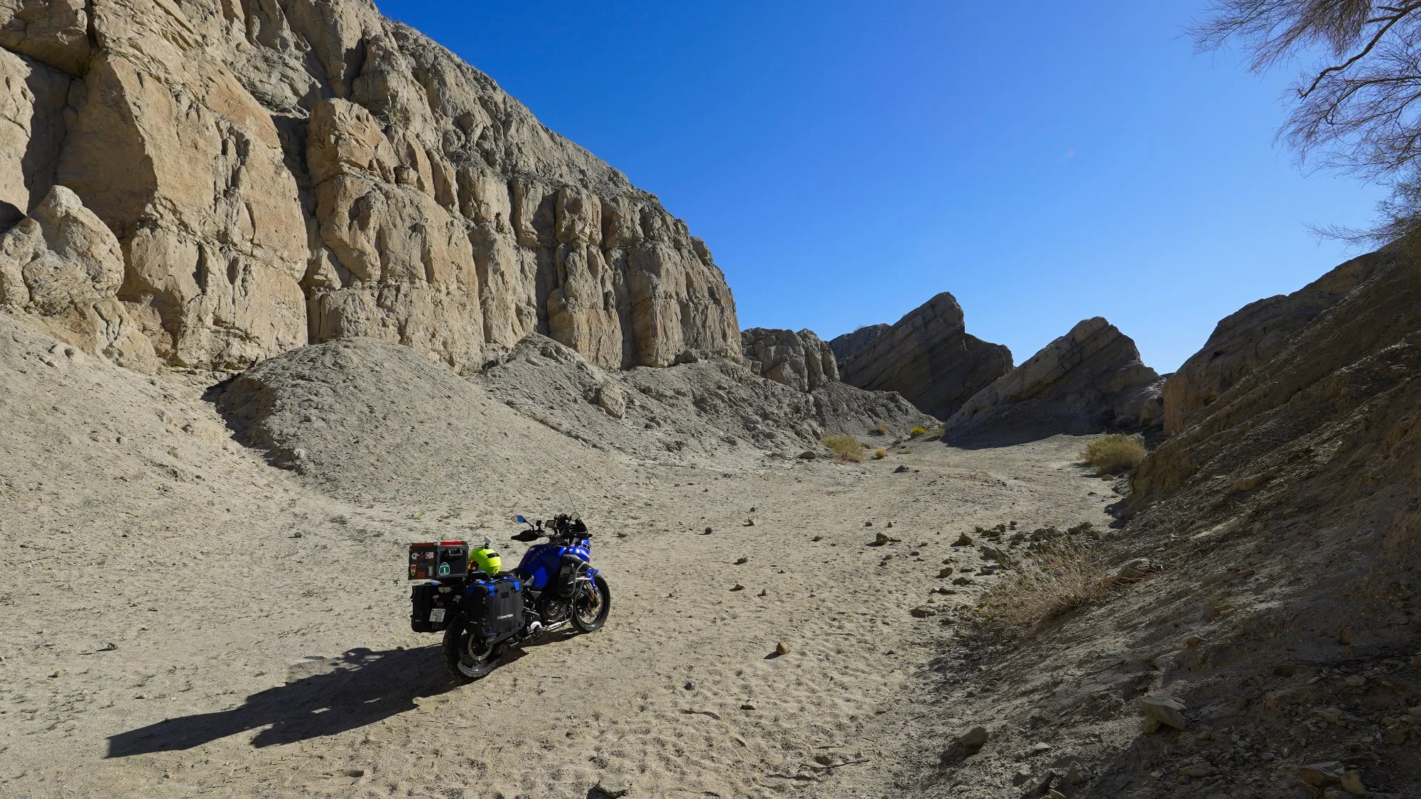 ©Patrick Murphy-Racey