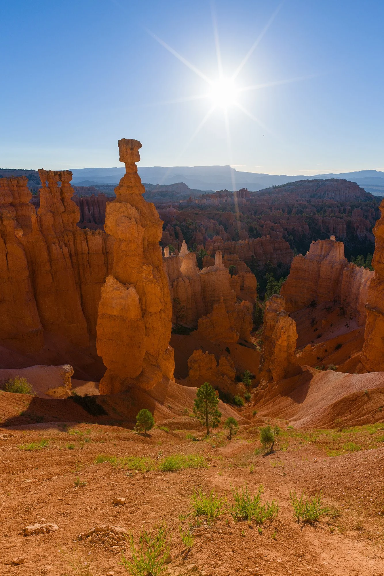 © Leigh and Raymond Polen