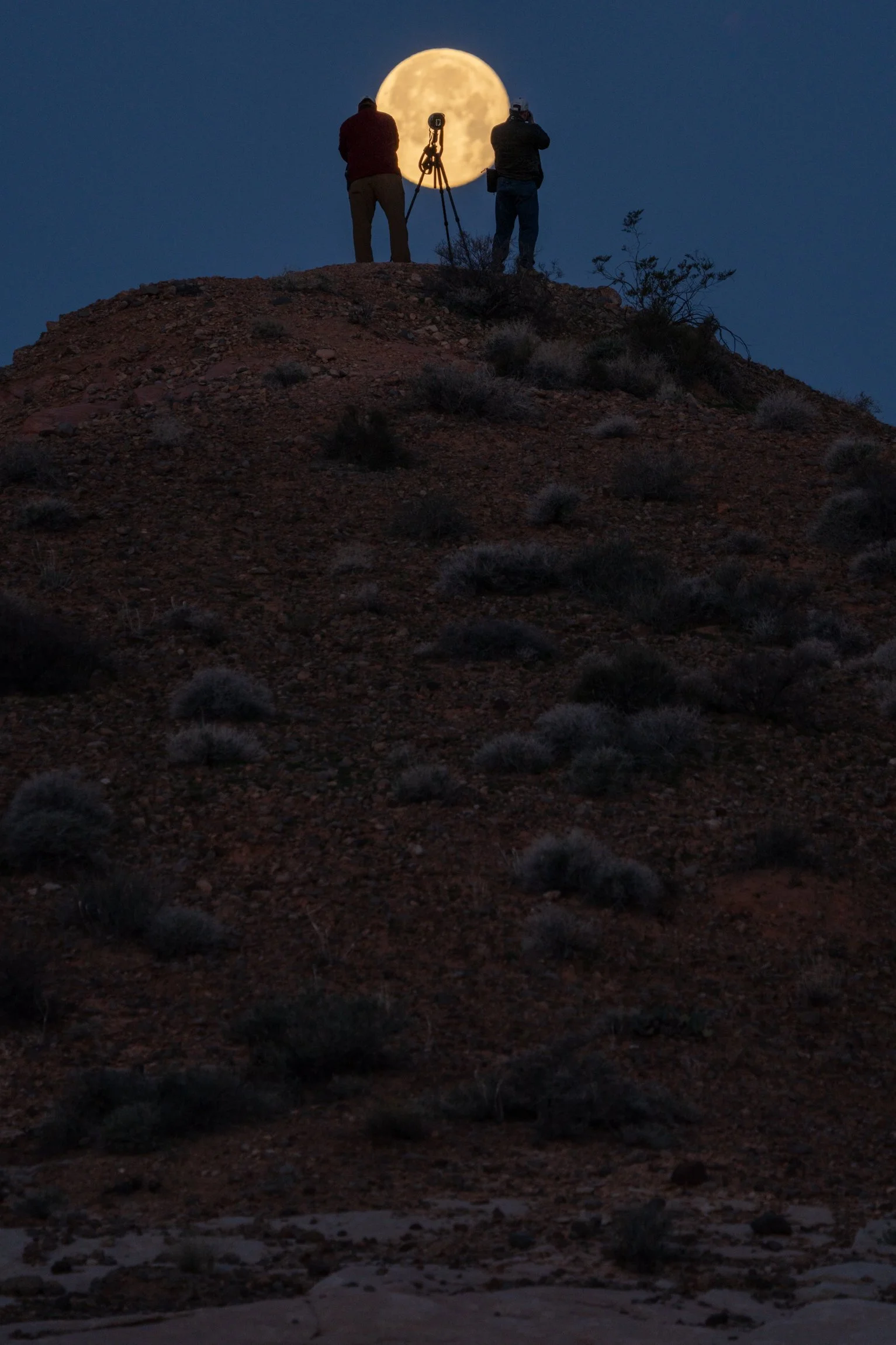 AlexKent_V_MoonLit_2091.jpg