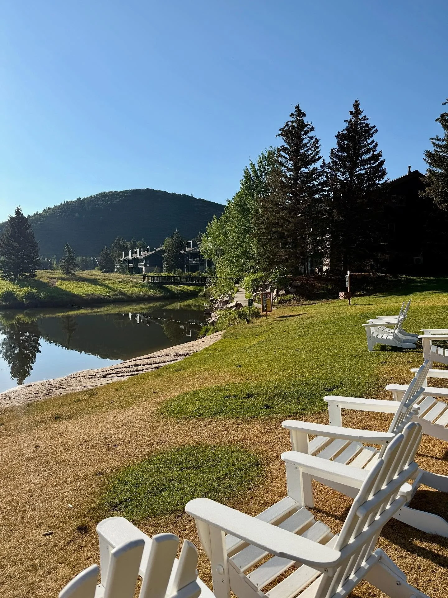 Sweet July ⛰️🌻🍃