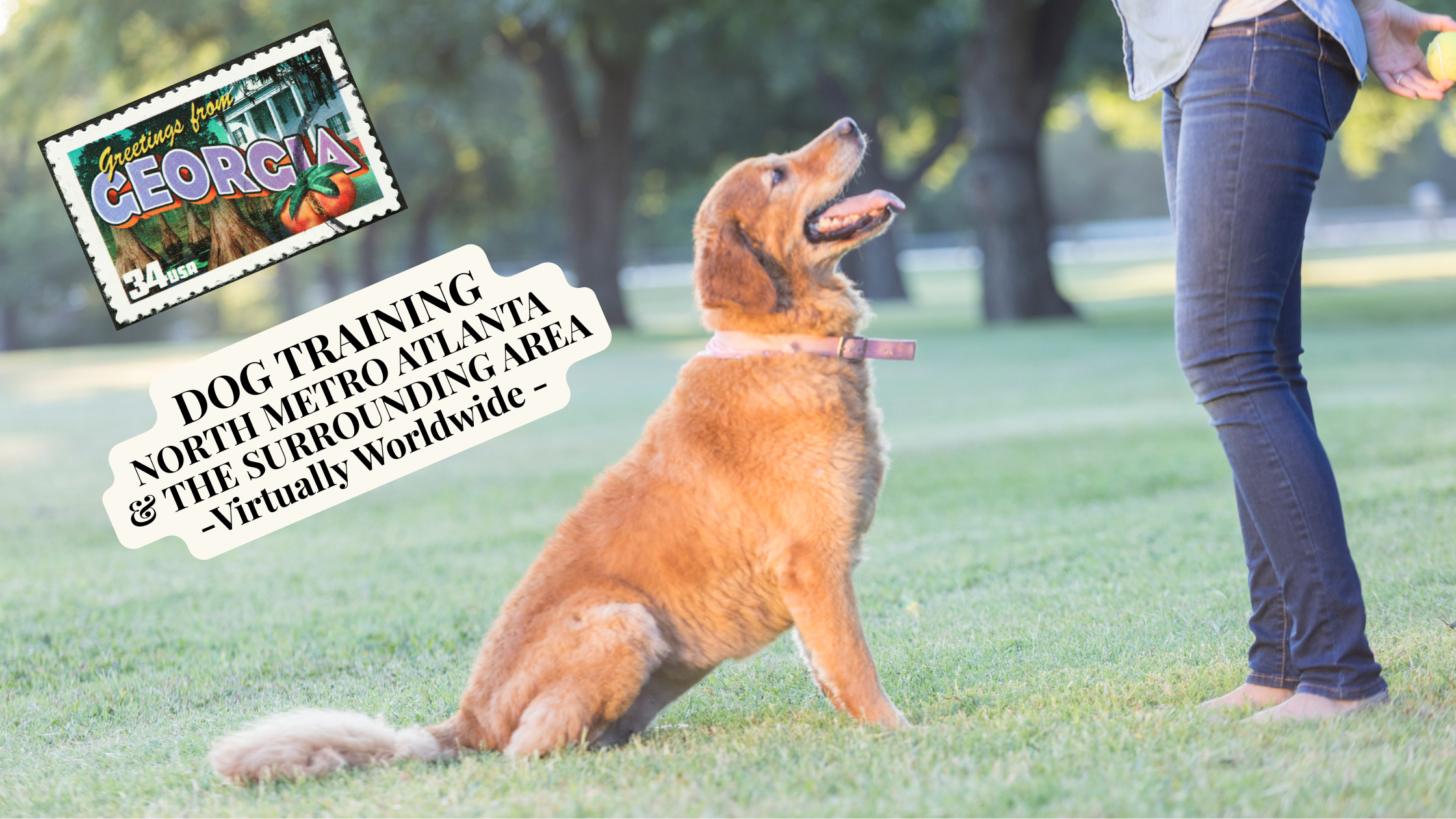 Personalized Dog Training in Alpharetta, Cumming, Milton, Roswell, Canton, Holly Springs & Surrounding Areas