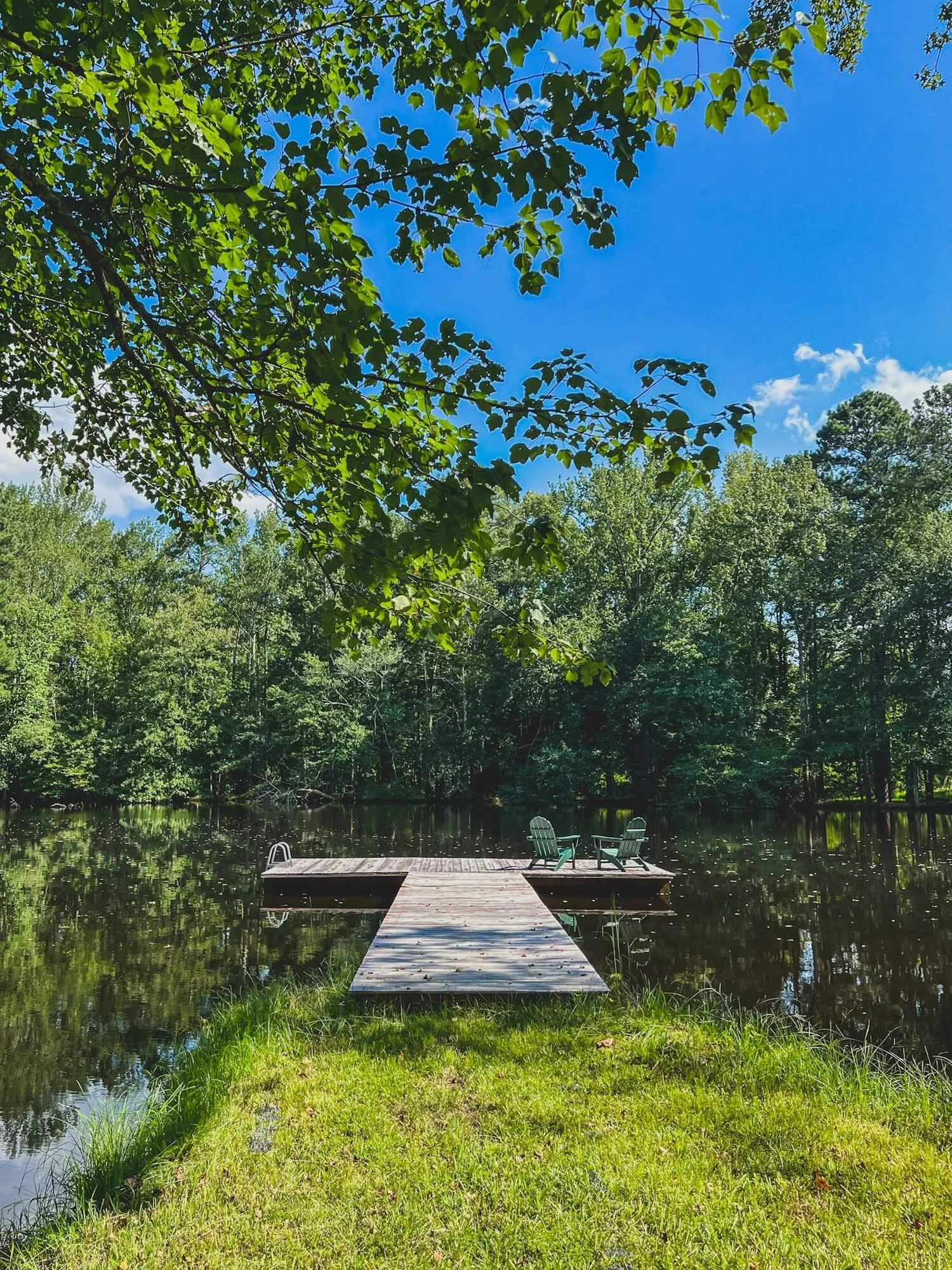 Waybird Farm and Forest.jpeg