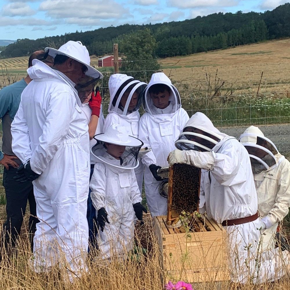  Lessons in the Apiary 