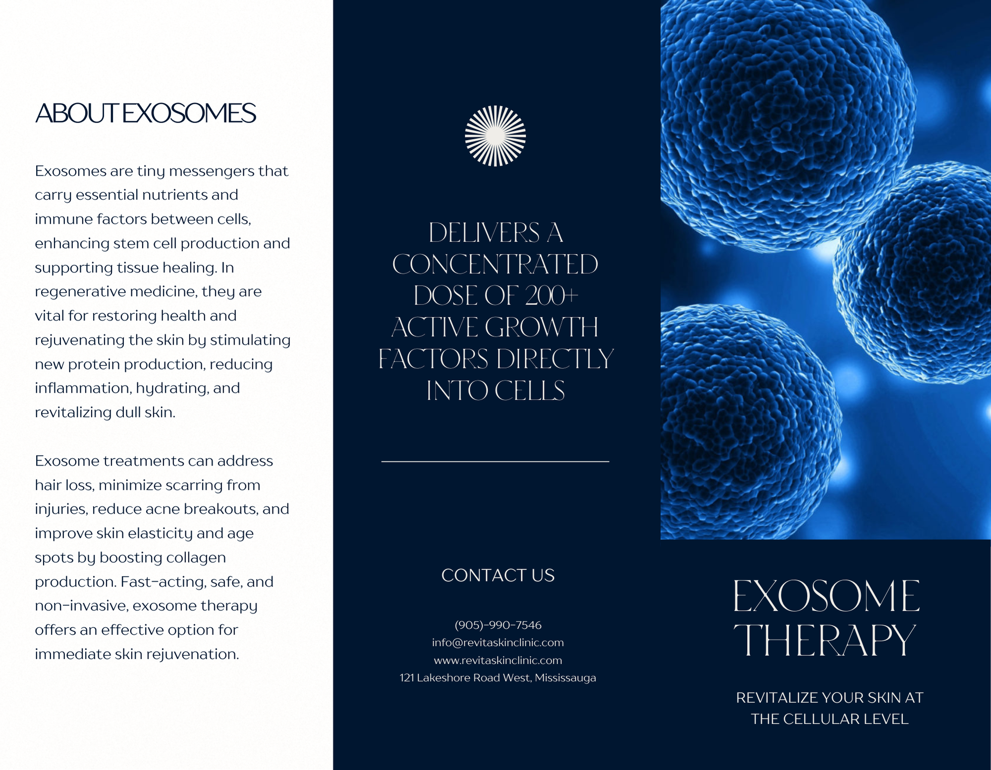 exosomes outside brochure.png