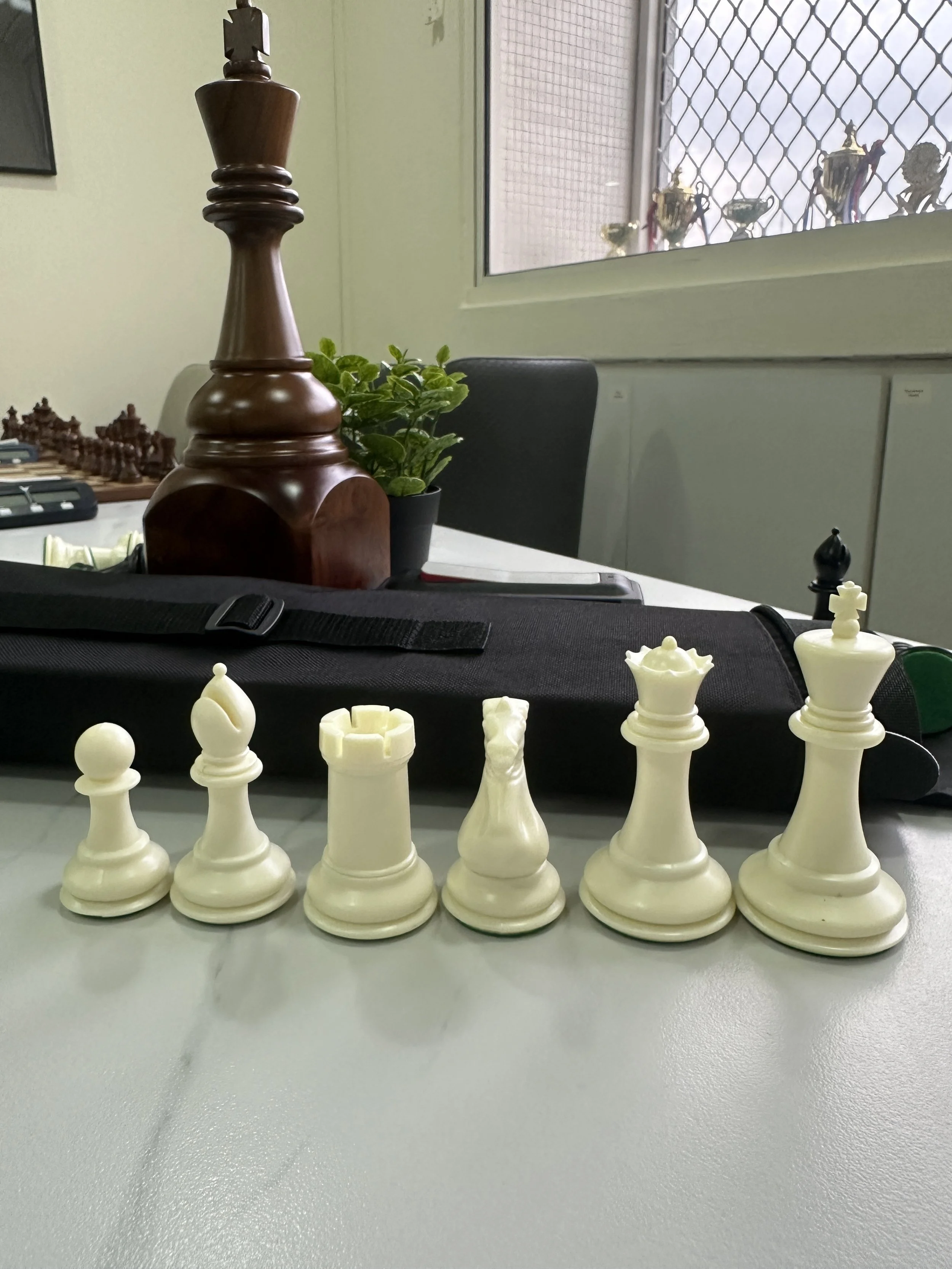 Premium Chess Set 5.JPG