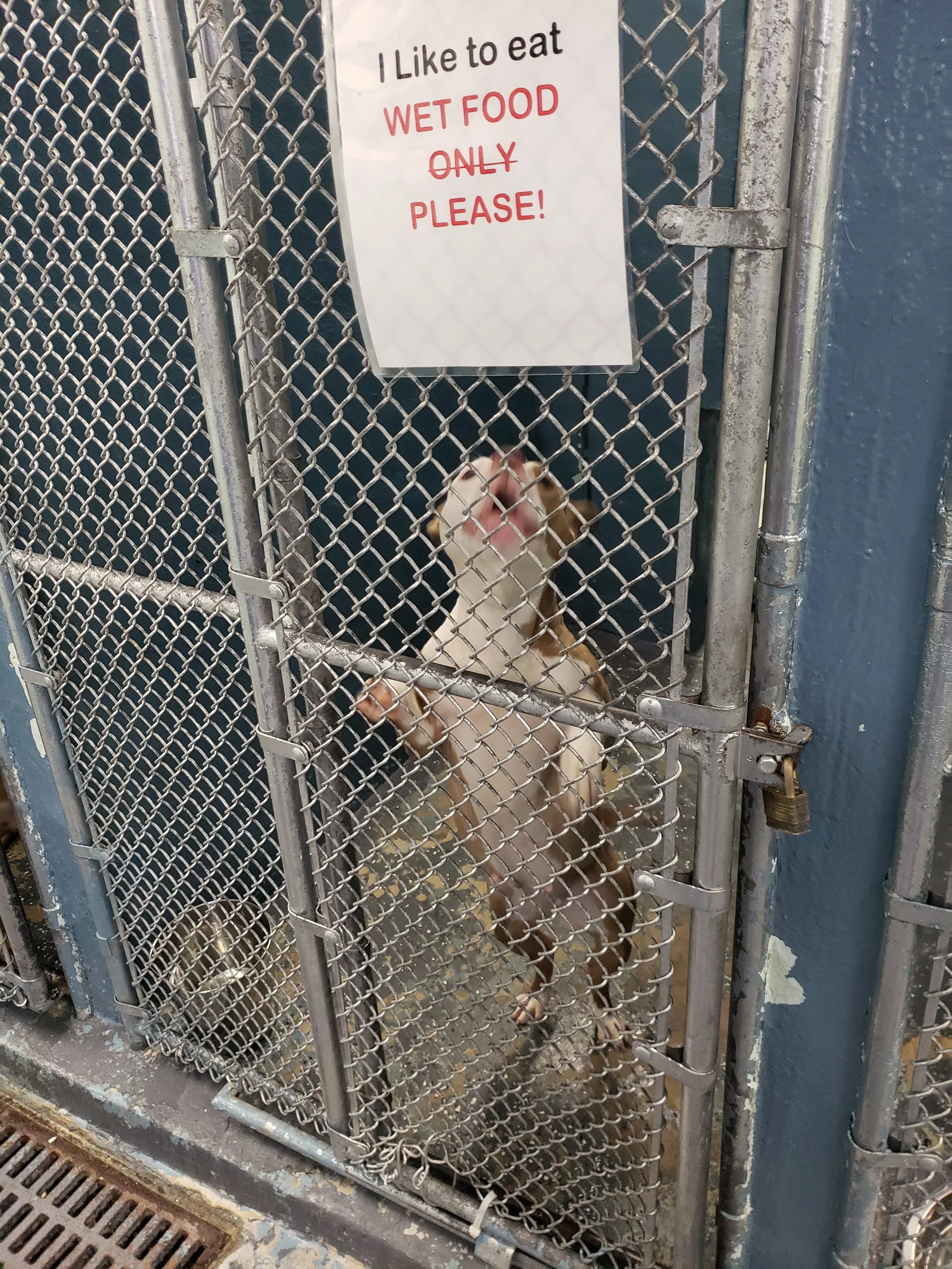 shelter1.jpg