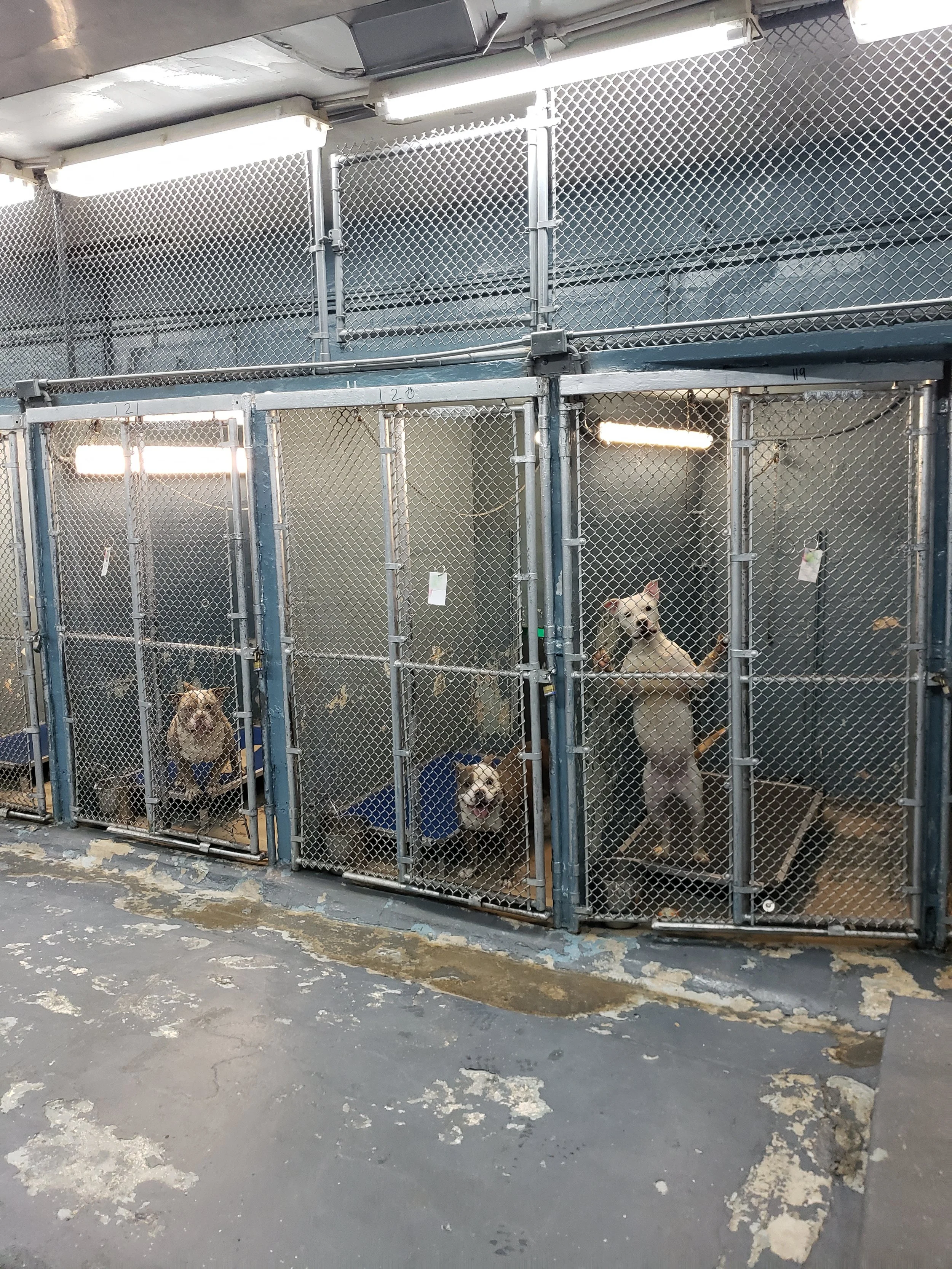 shelter2.jpg