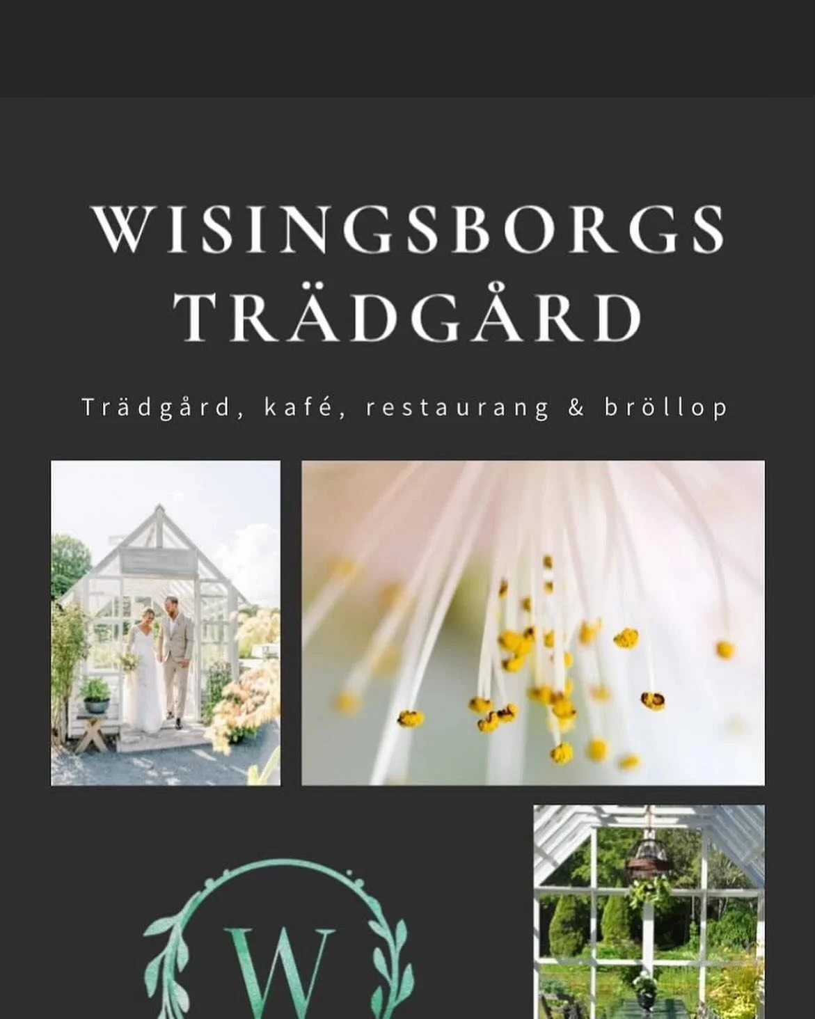 Tävlingsdags 🏌️‍♀️🏌️⛳️👍👏
Nu på lördag 26:e juli är det Wisingsborgs Trädgård som är tävlingssponsor. Vi spelar slaggolf A- och B klass. Dessutom bästa bruttoscore för dam och herr.
Utöv