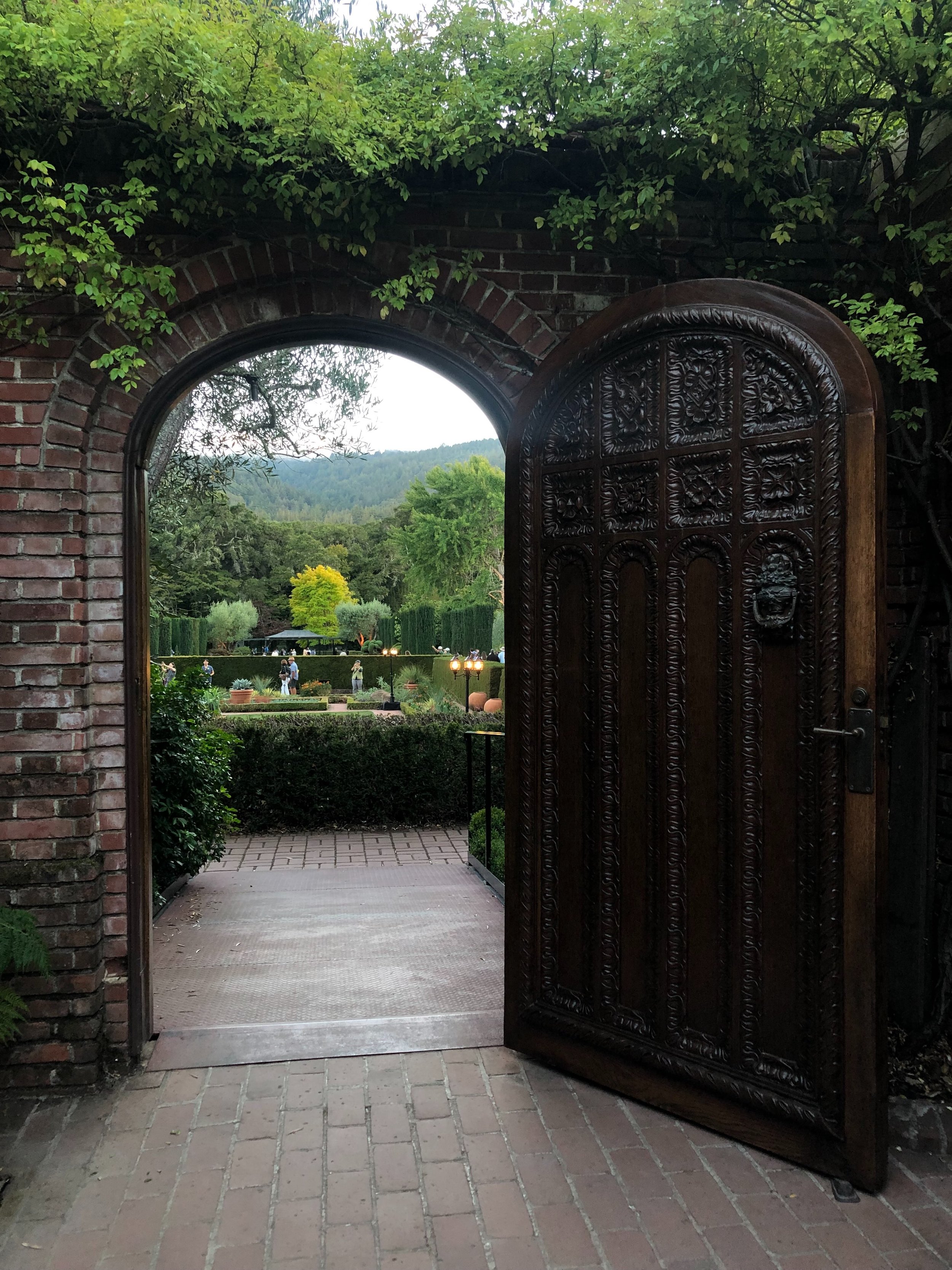 Garden notes via my camera roll. 🌿 Here&rsquo;s what I know &ndash; 

I love big swaths of native plants, but also a tidy formal hedge. And I cannot resist the romance of a Victorian iron bench. 

I&rsquo;m still at the beginning of my life as a gar