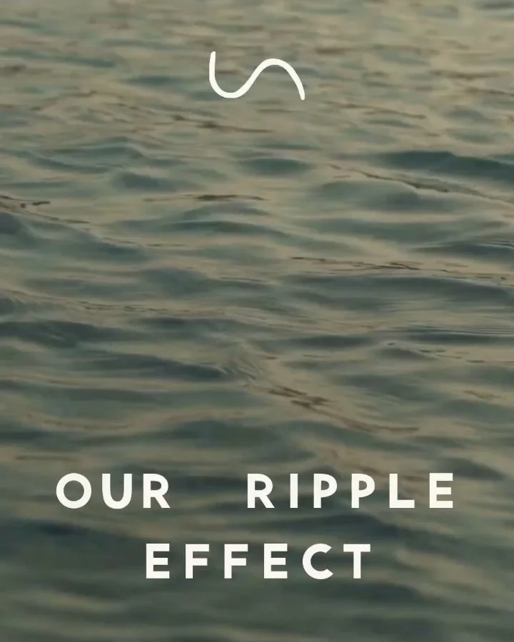 Turning resources into action. 🌱 We gave our 1% give-back pledge to @earthjustice in 2025. They are truly fighting the good fight. 

#earthjusticeaction #rippleeffect #earthjustice #givebacktonature #healtheearth