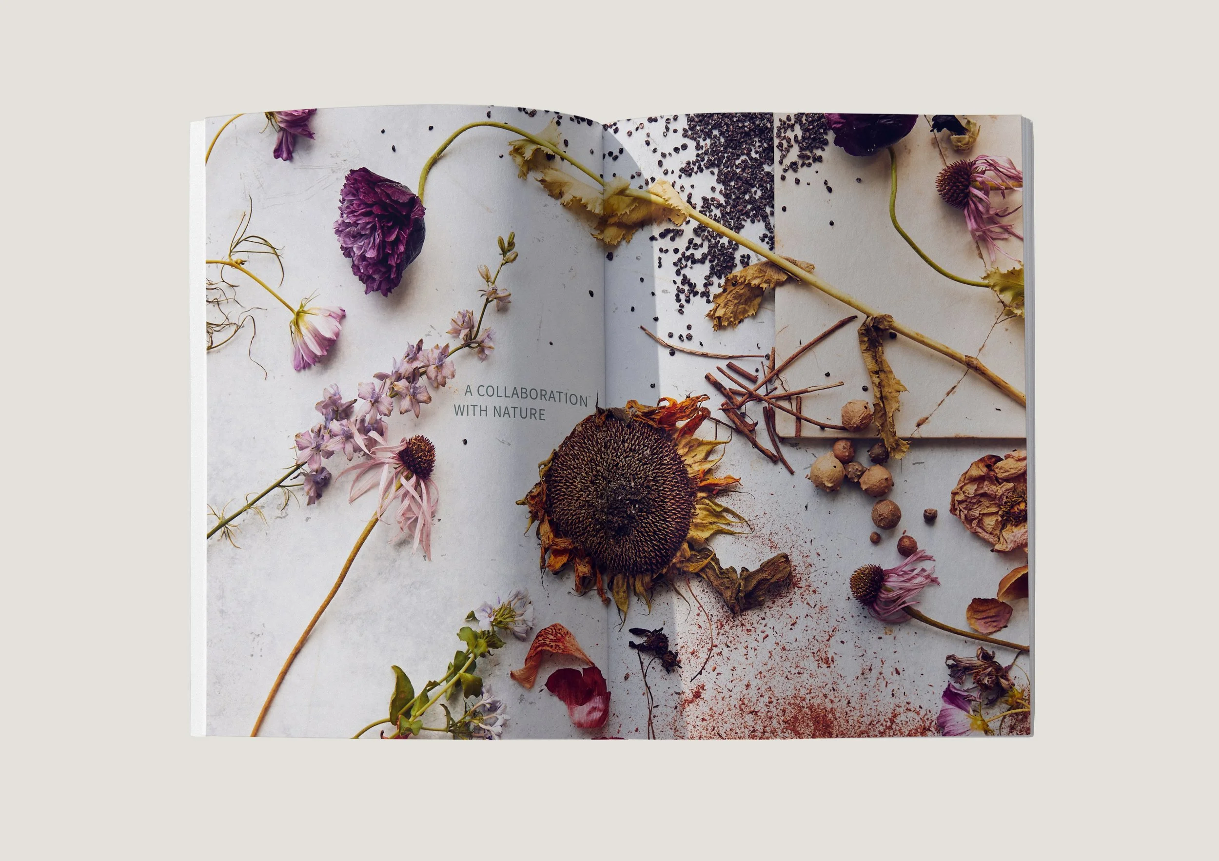 Pirtti_lookbook_mockup_cropped_collabwithnature.jpg