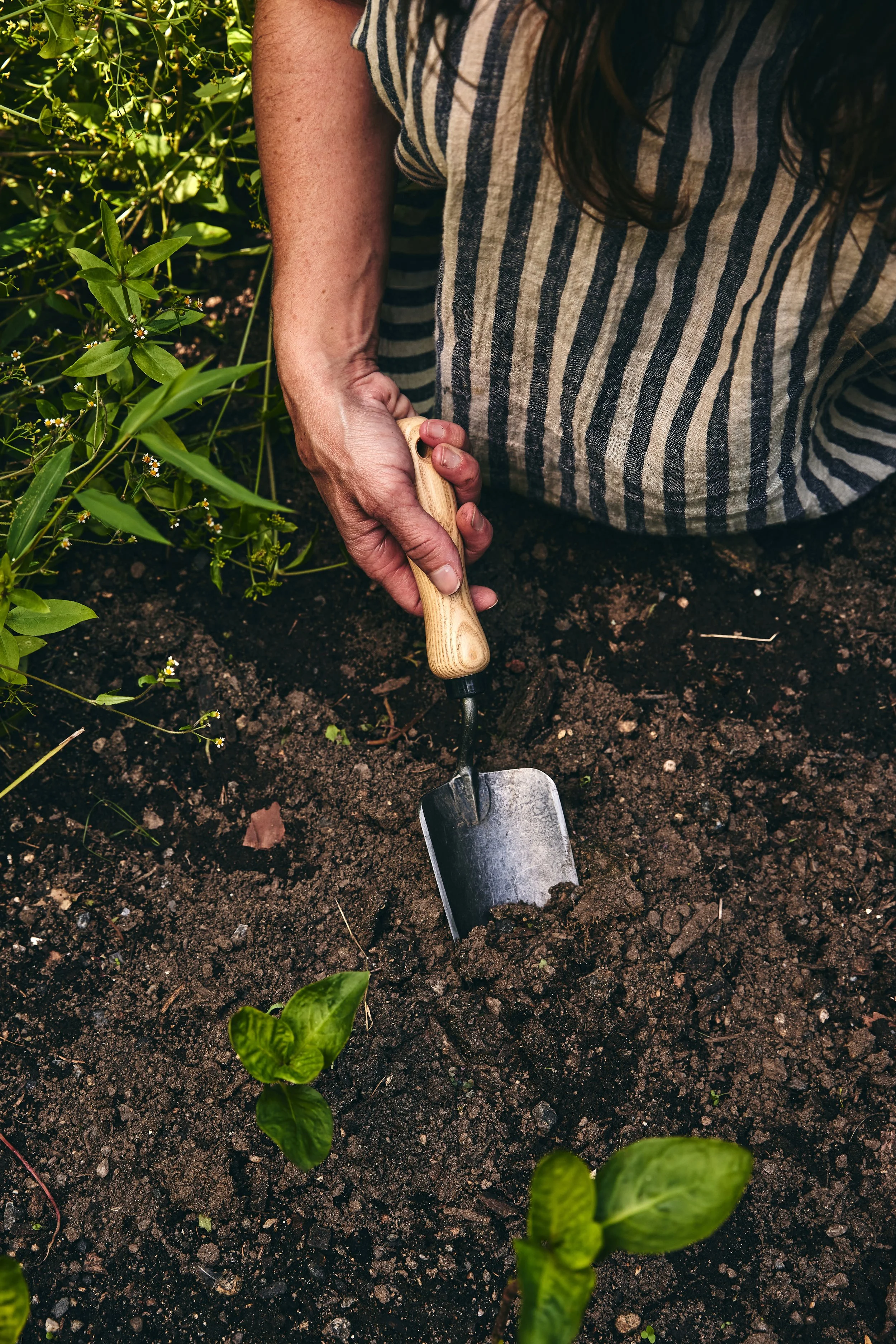 Pirtti_Soil12_0695.jpg