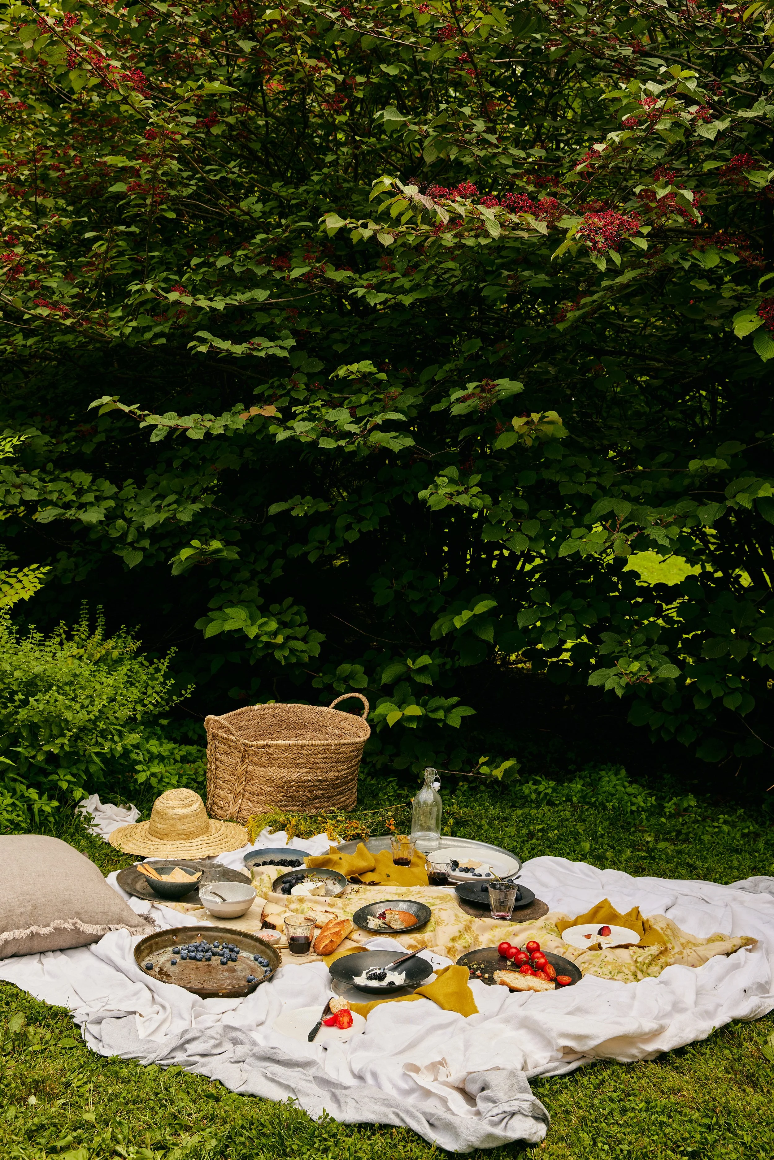 Pirtti_Picnic9_0975.jpg