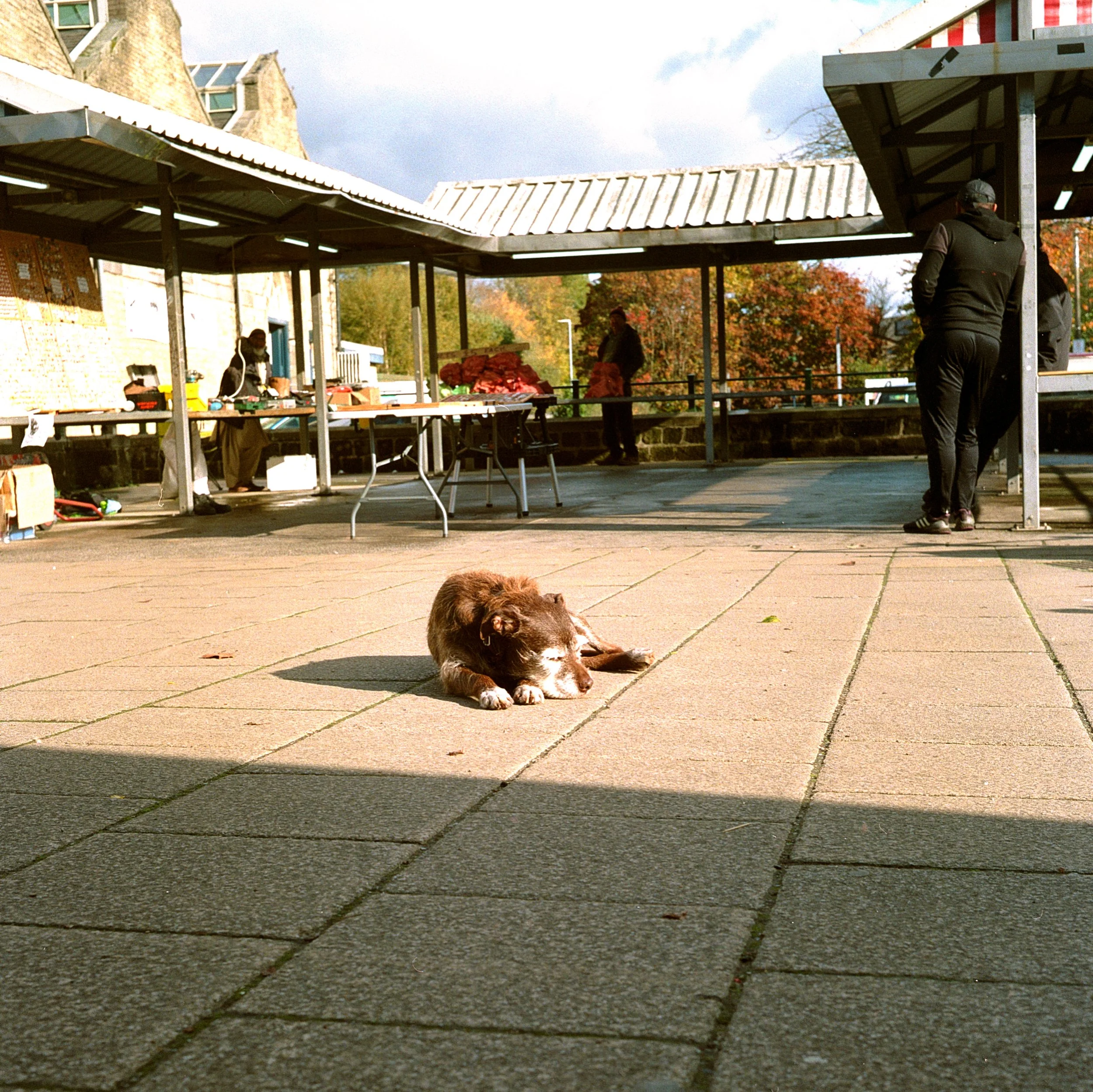 Tod Market - Portra 800_11.jpg