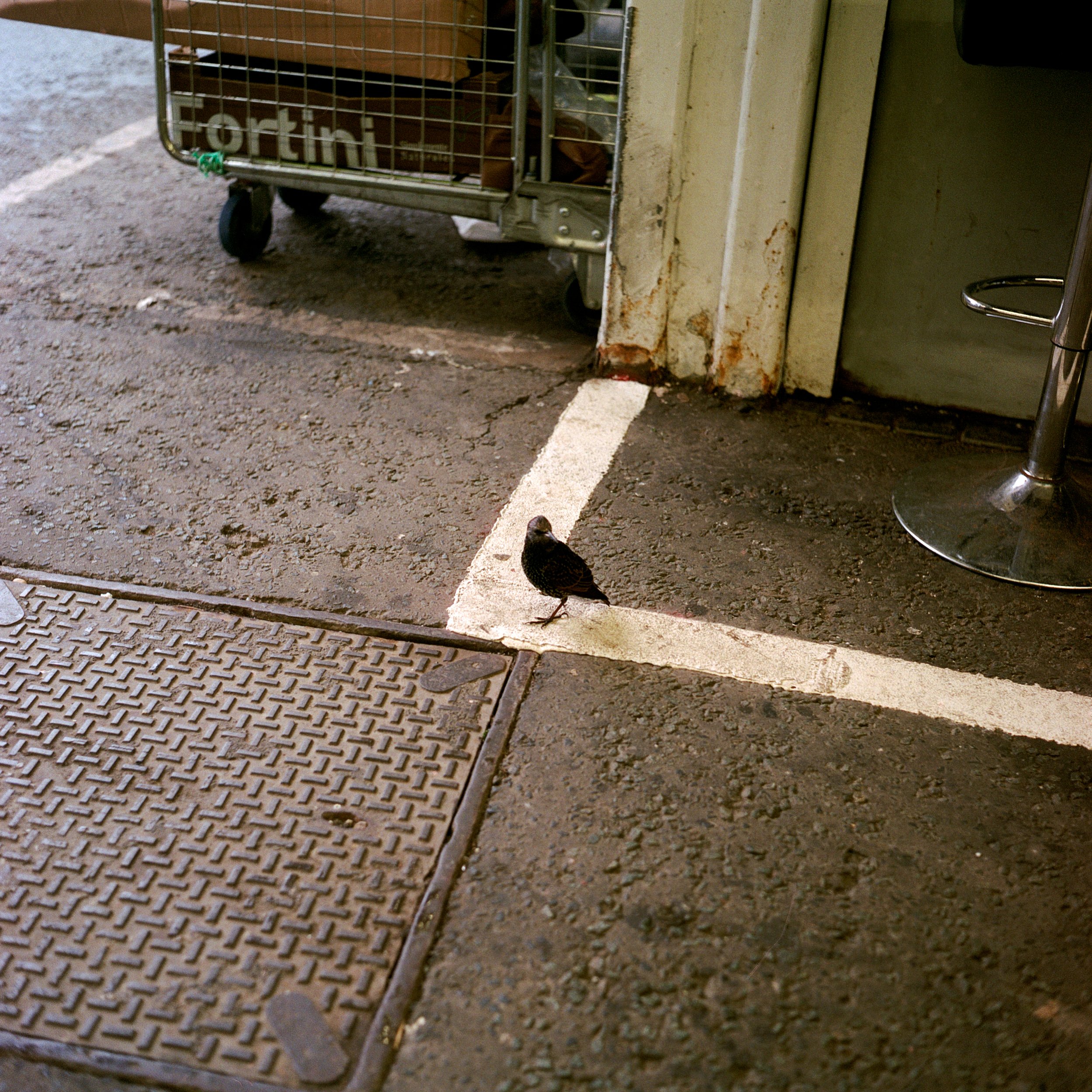 Bury Market - Portra 800_1.jpg