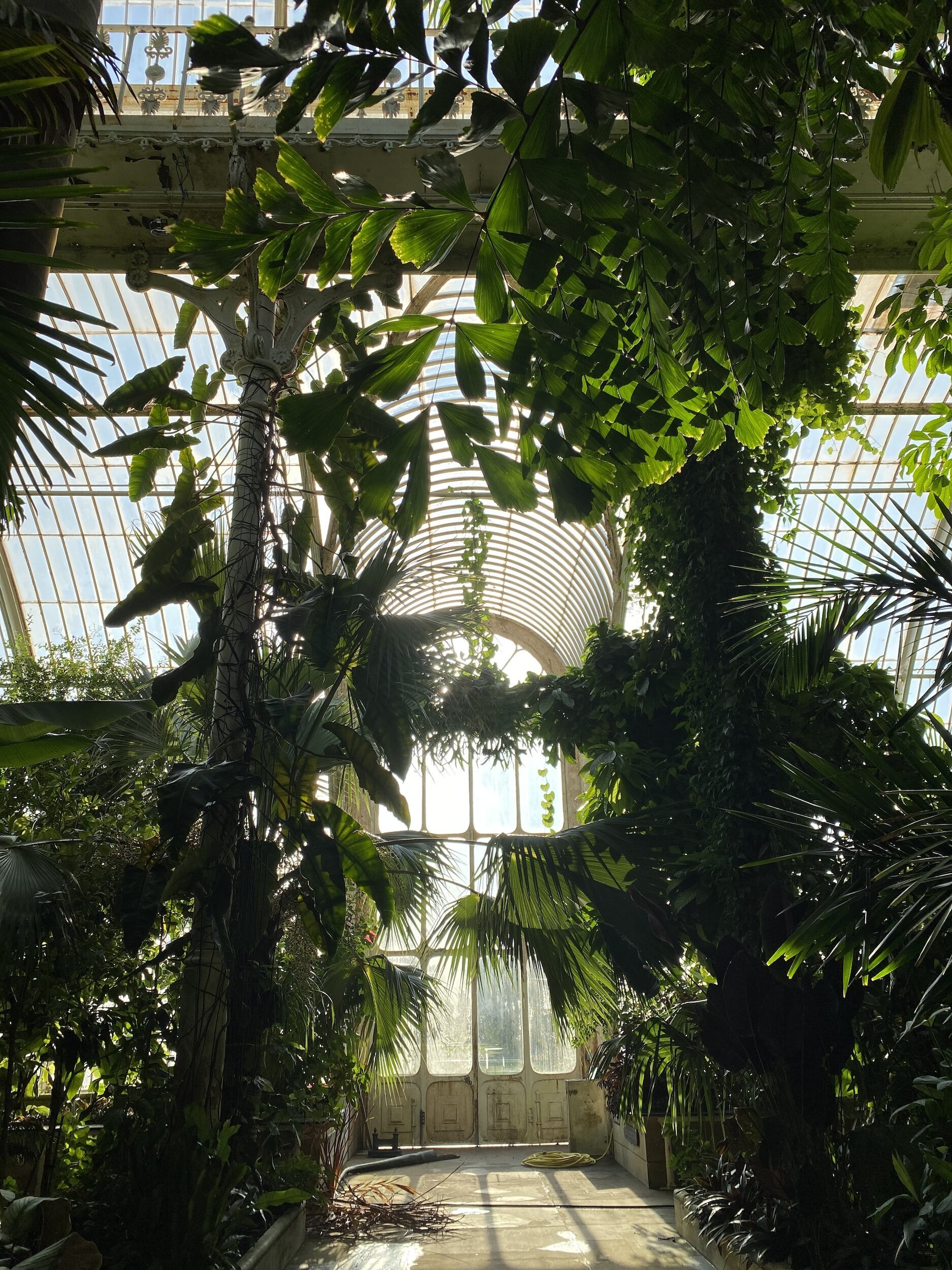 Kew gardens