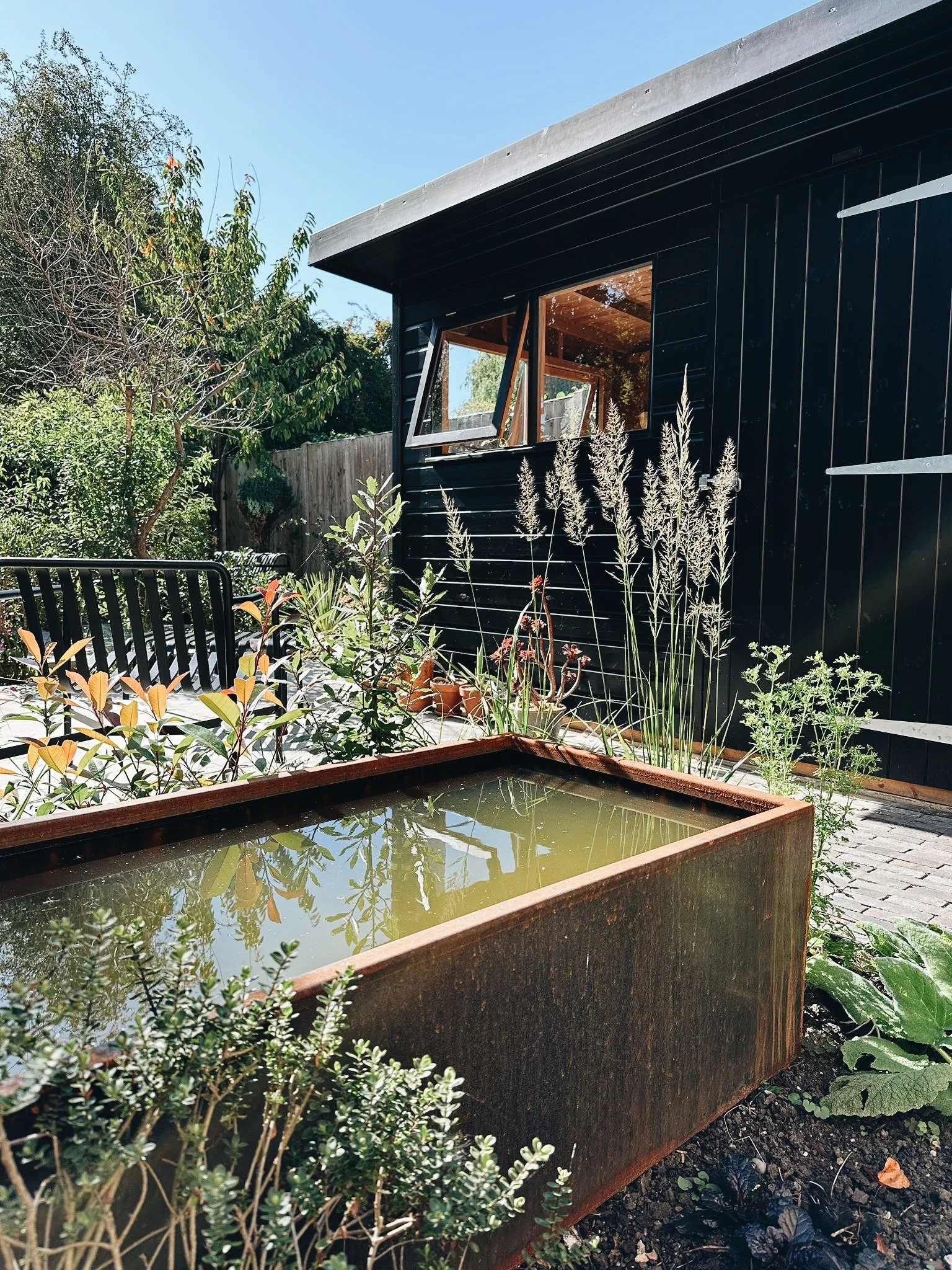 corten-black-garden.JPG