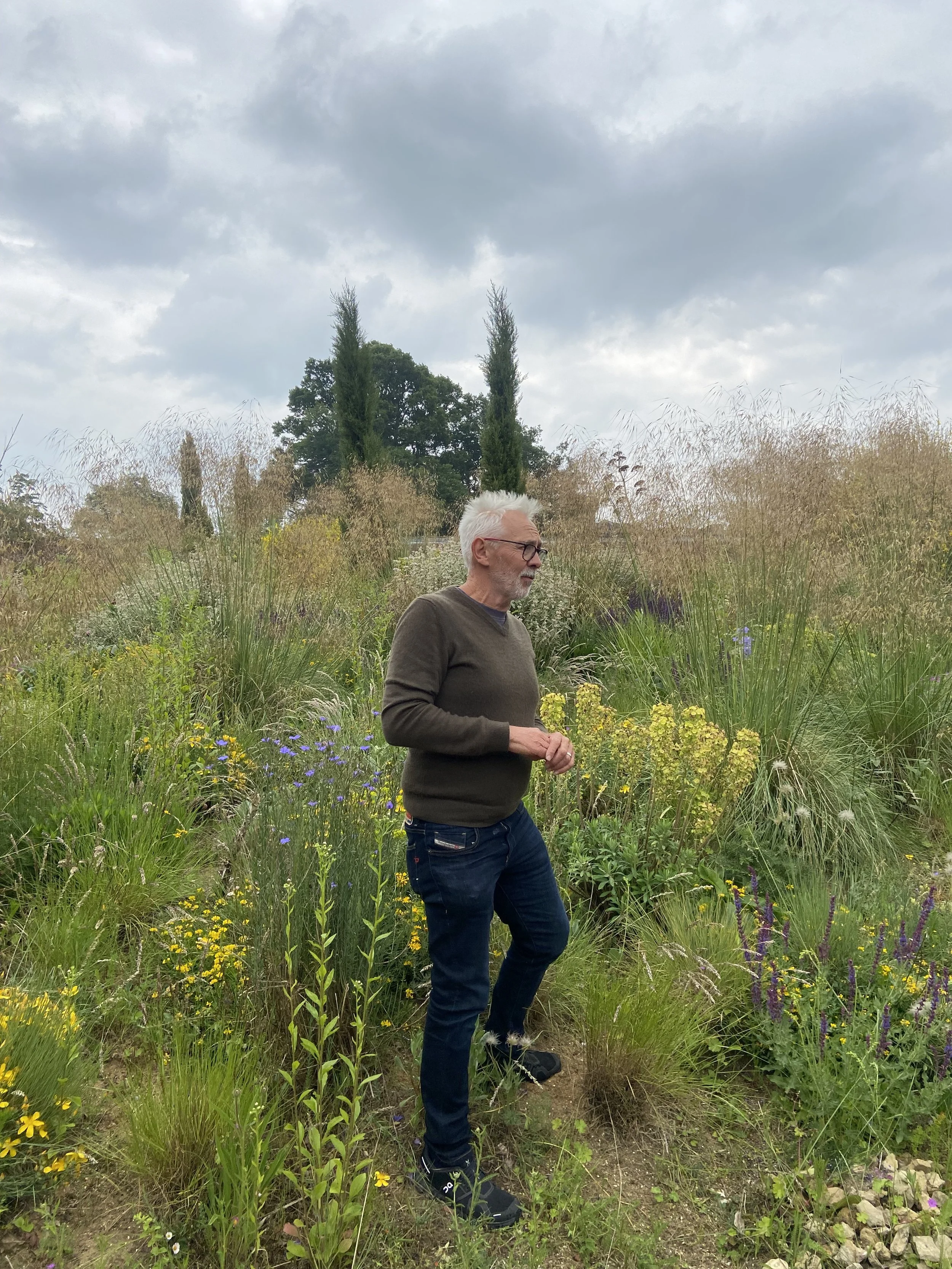 Large scale naturalistic planting