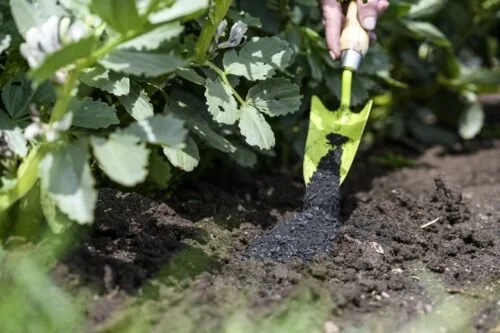 Building Soil Health from the Ground Up - Supporting the Soil Biome