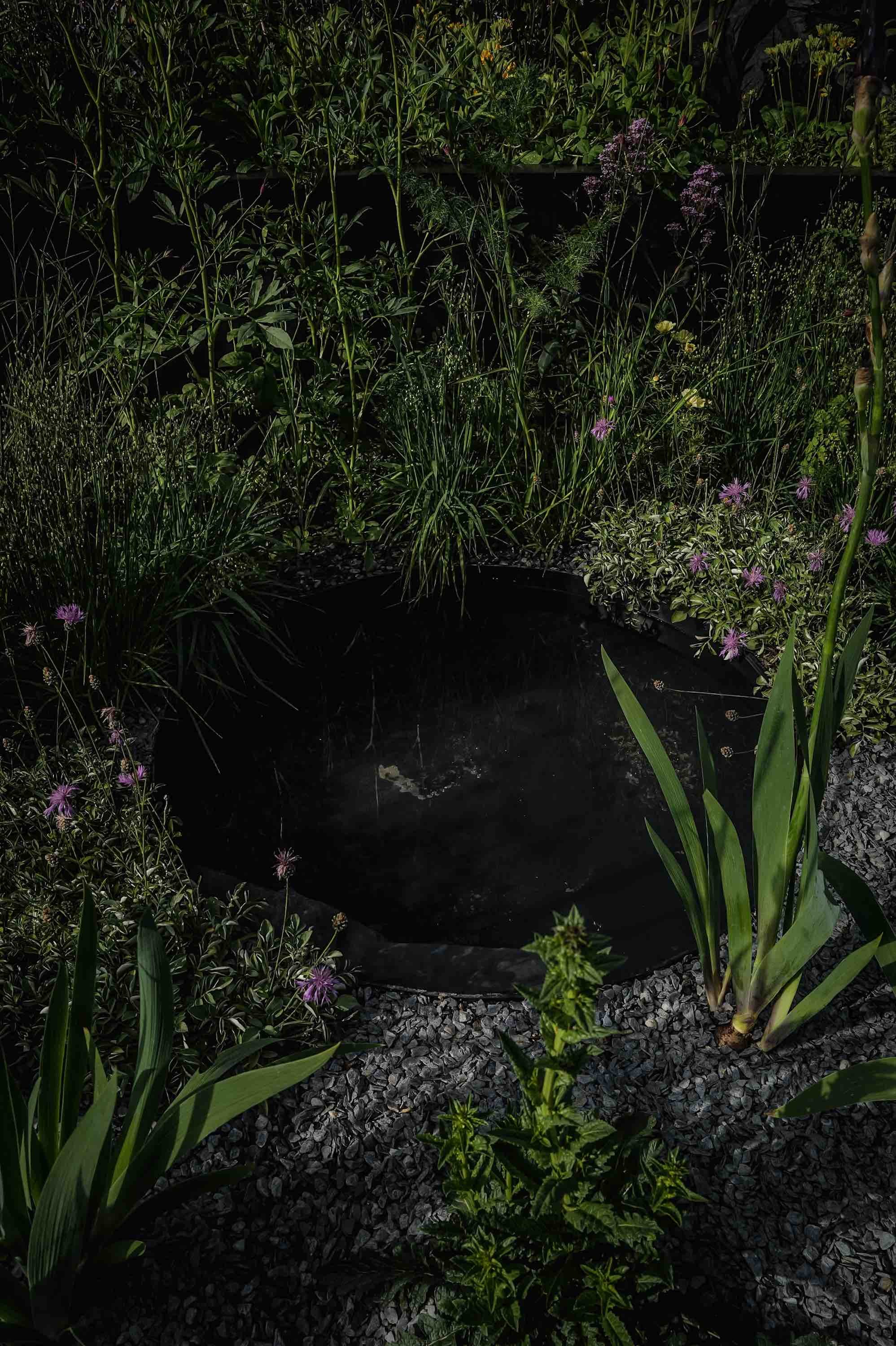 Melanie Hick's Nocturnal Garden Photo credit: Ros Atkinson