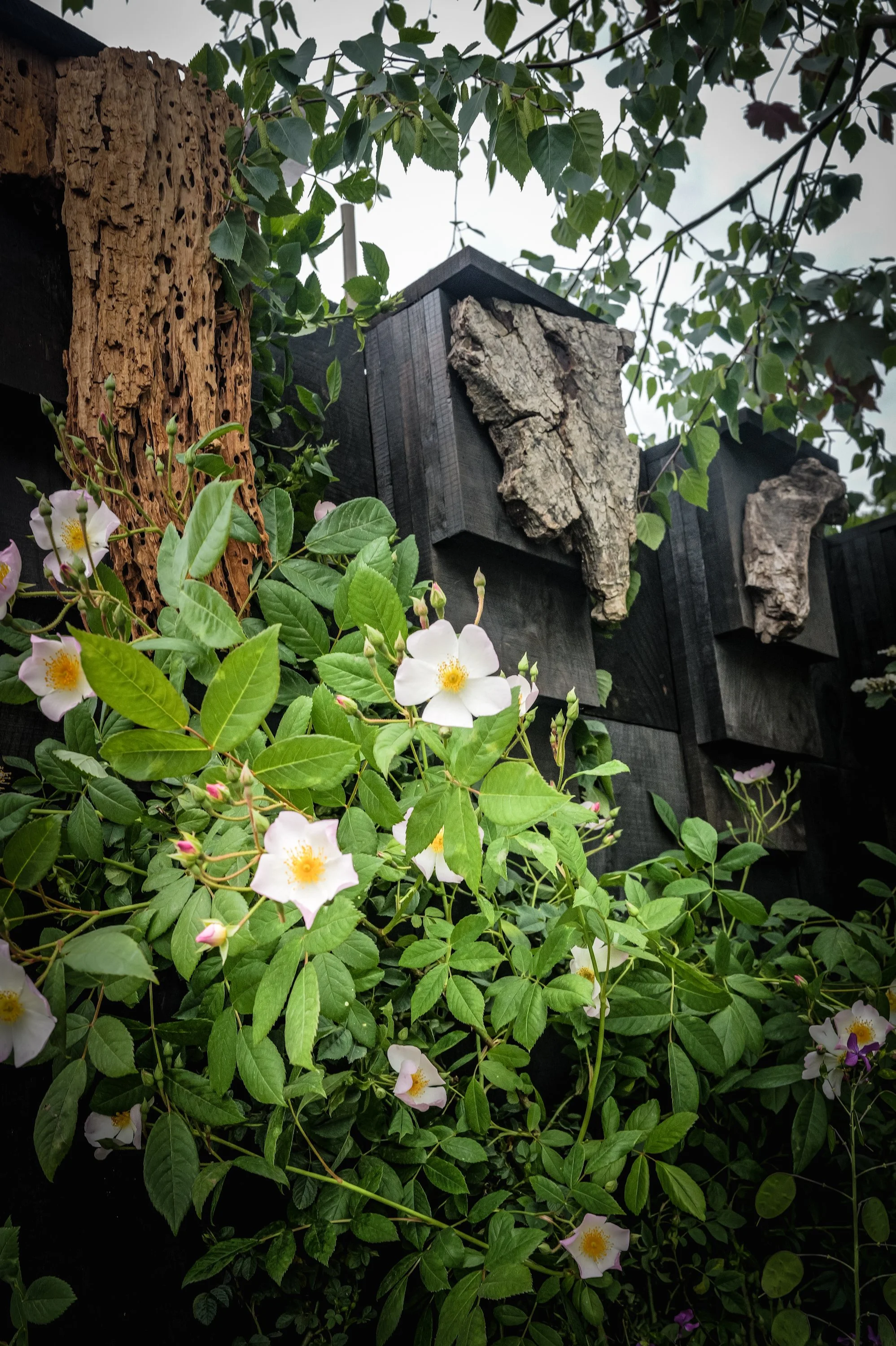 Melanie Hick's Nocturnal Garden Photo credit: Ros Atkinson