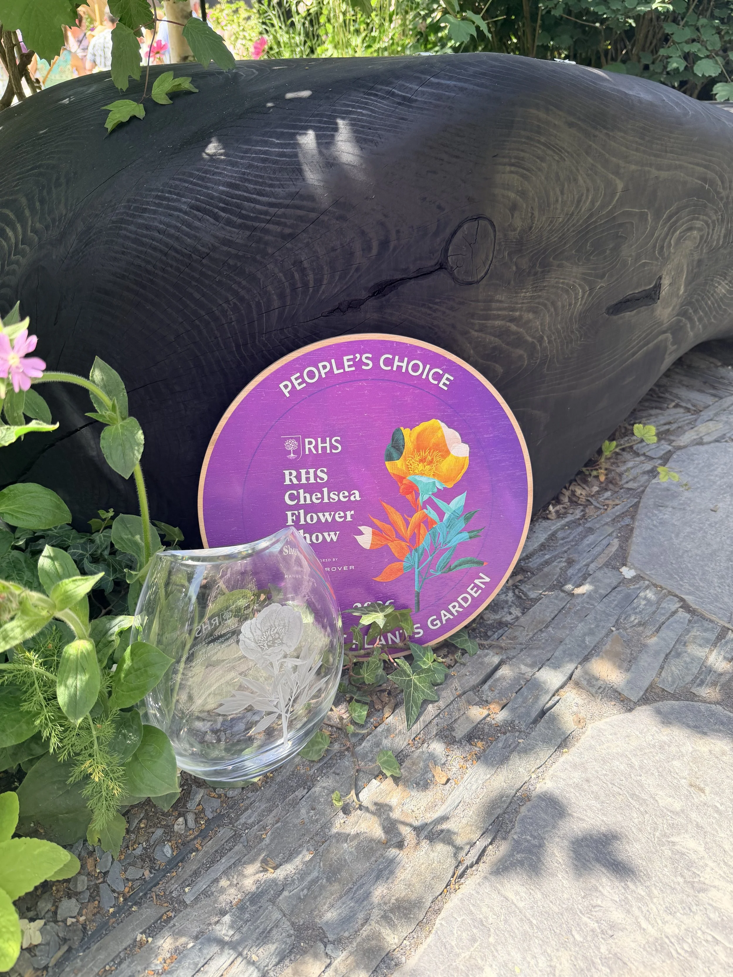 Melanie Hick People's Choice Award Chelsea Flower Show