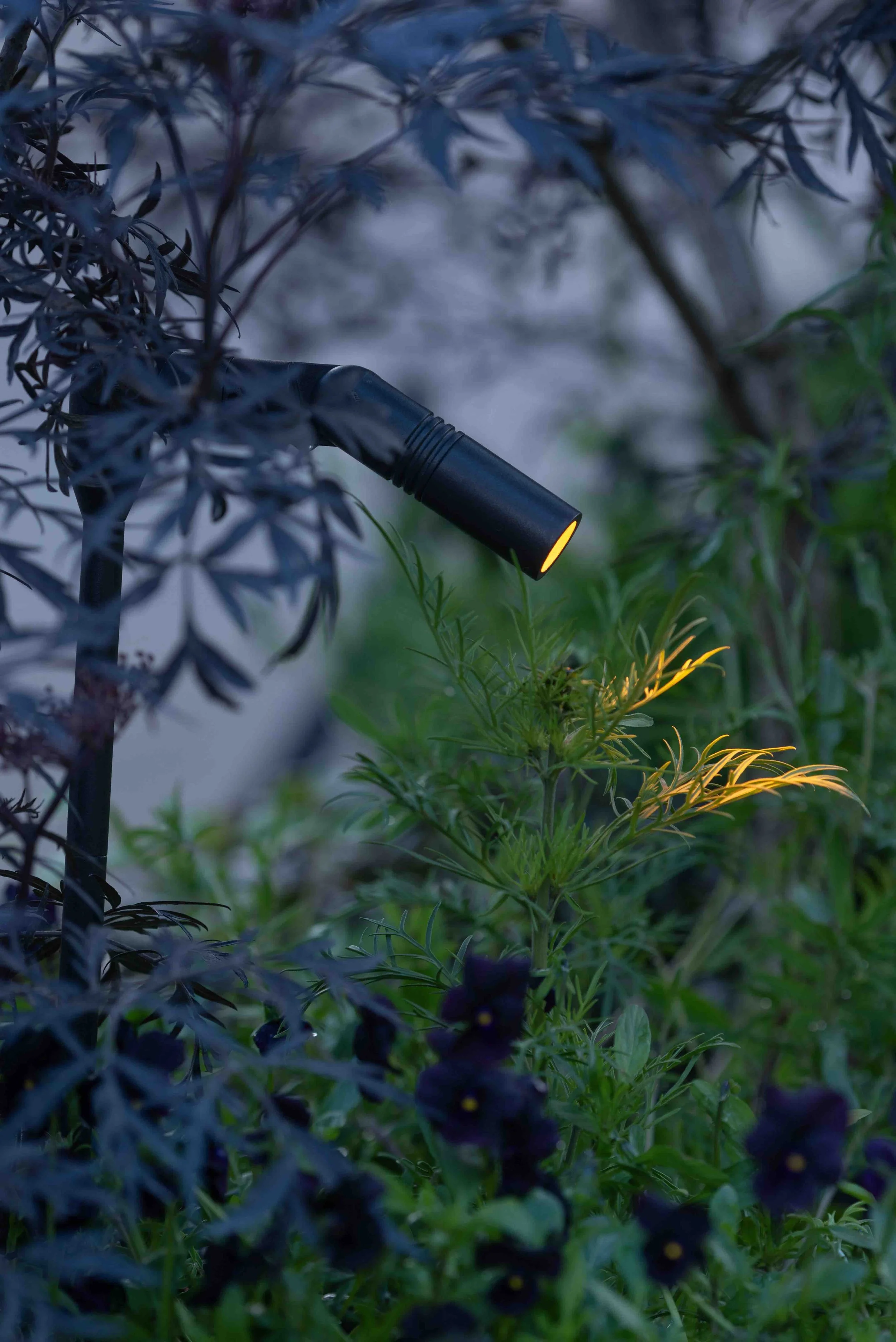 Bat-friendly garden lighting