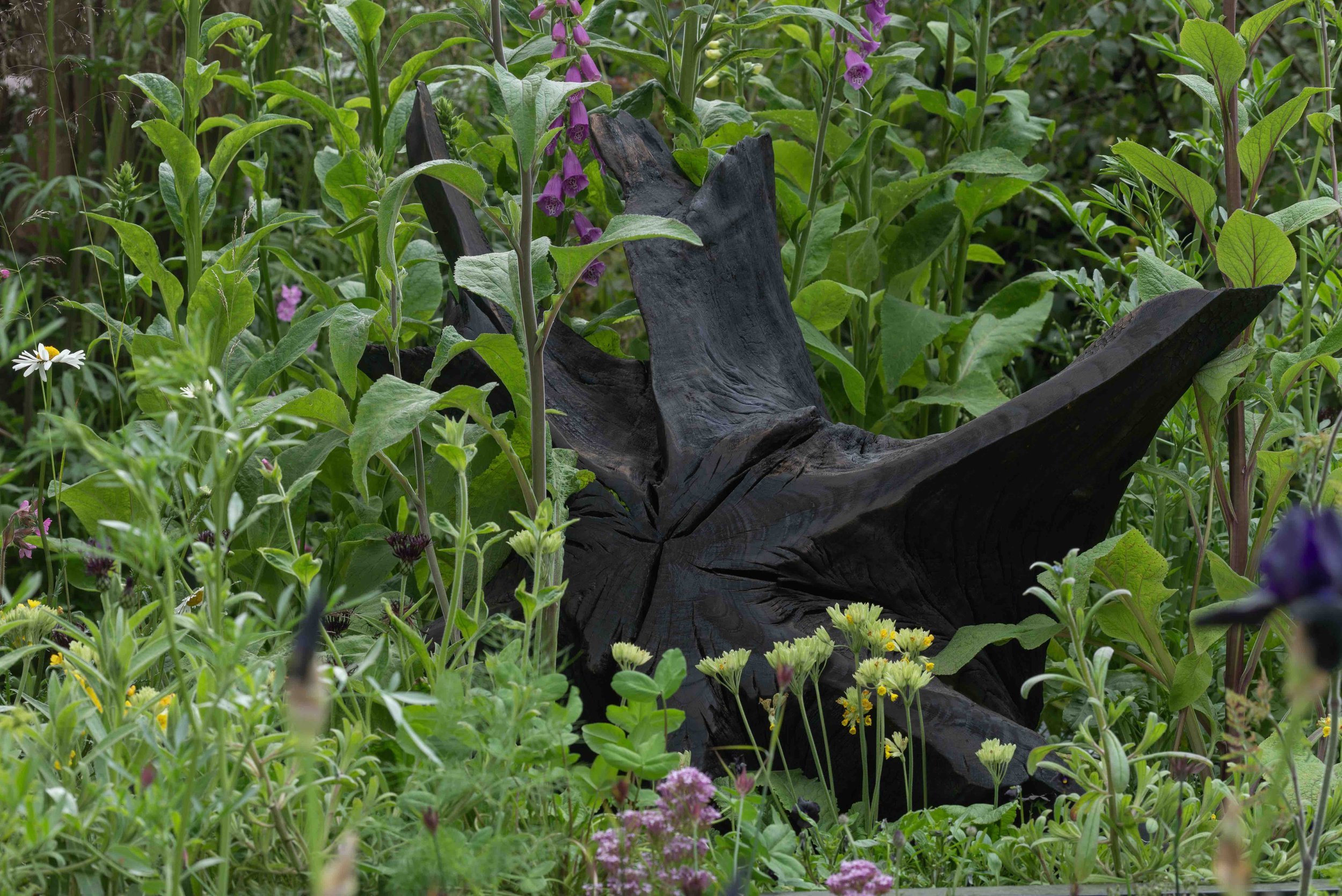 A blackened tree stump in naturalistic planting in a bat-friendly garden