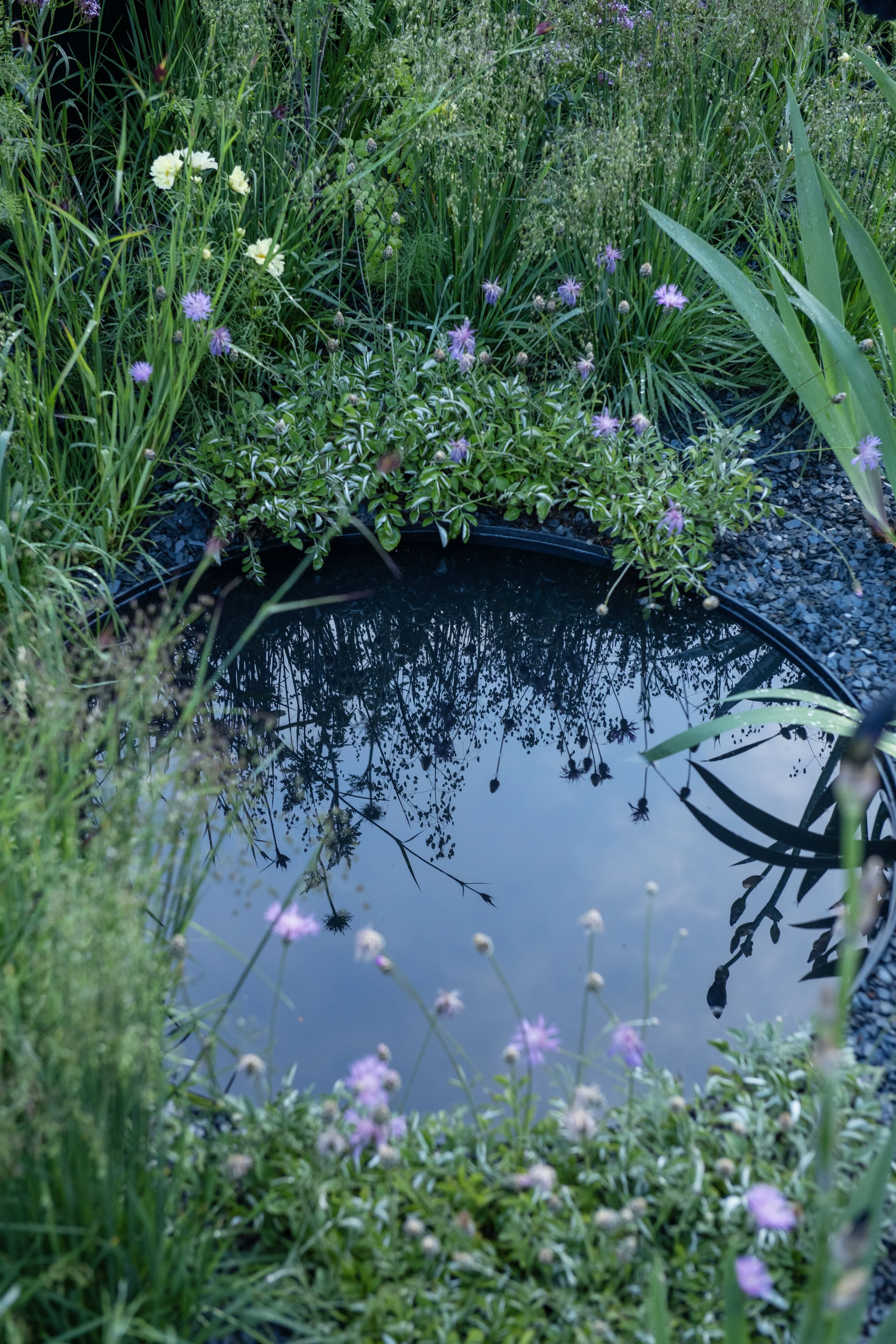 A pool of still water to benefit bats in a bat-friendly garden