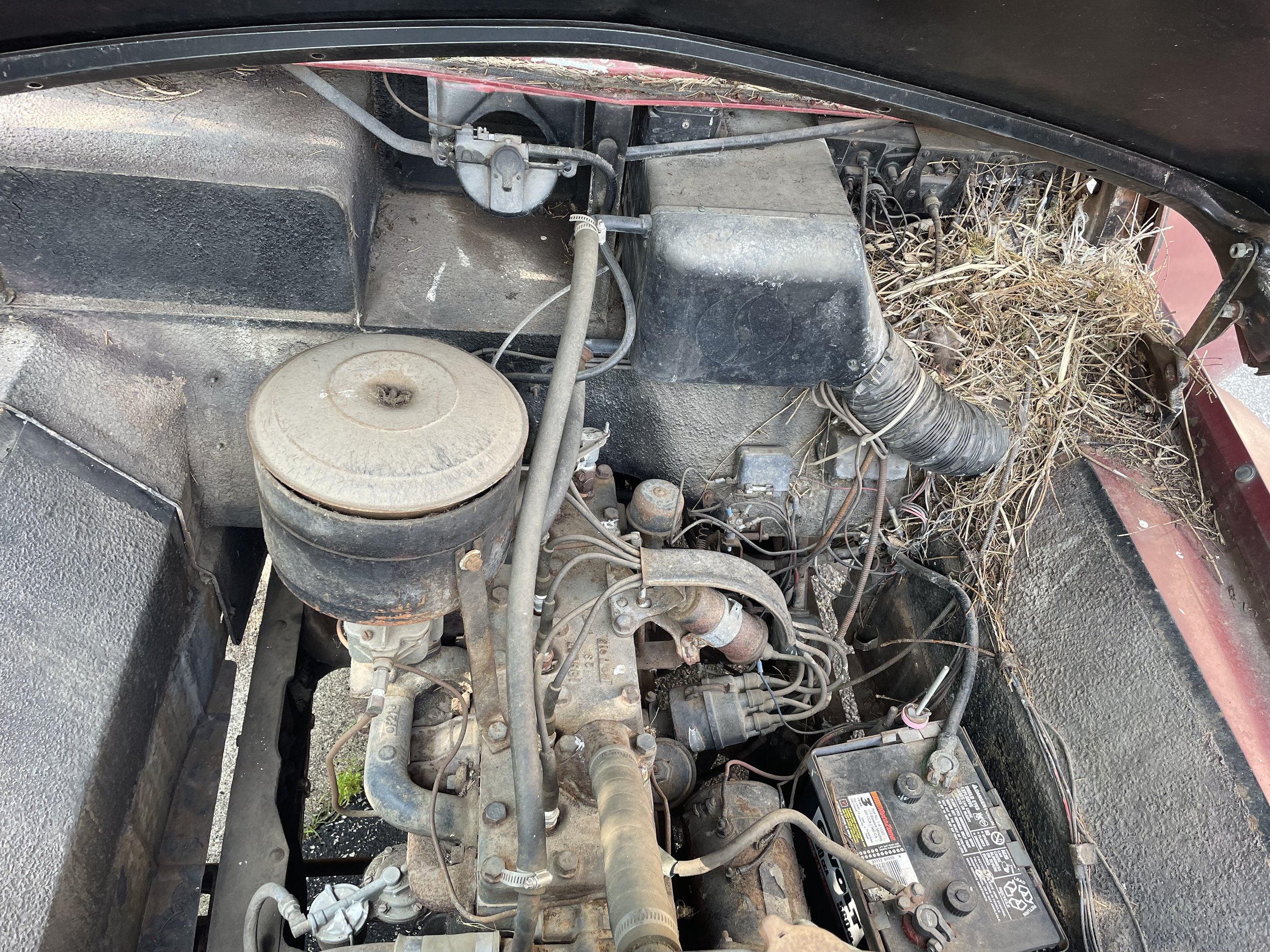 Yes, she had been sitting for quite a while and was apparently home to quite a few critters over the past 36 years.