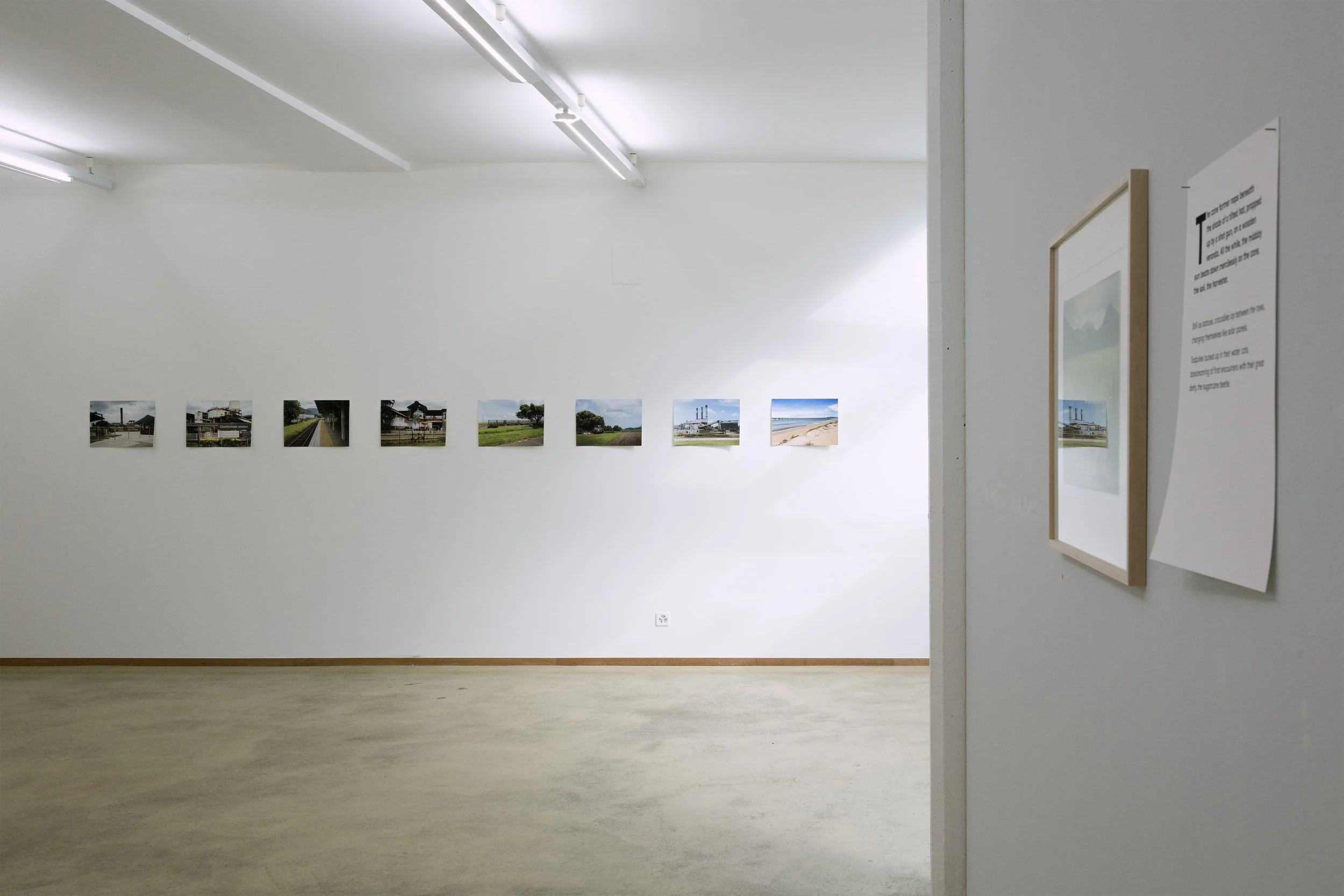 © Azura Silberschmidt 2025. Left to right: Journey Between Series, from Fields To Fables Series by Azura Silberschmidt.