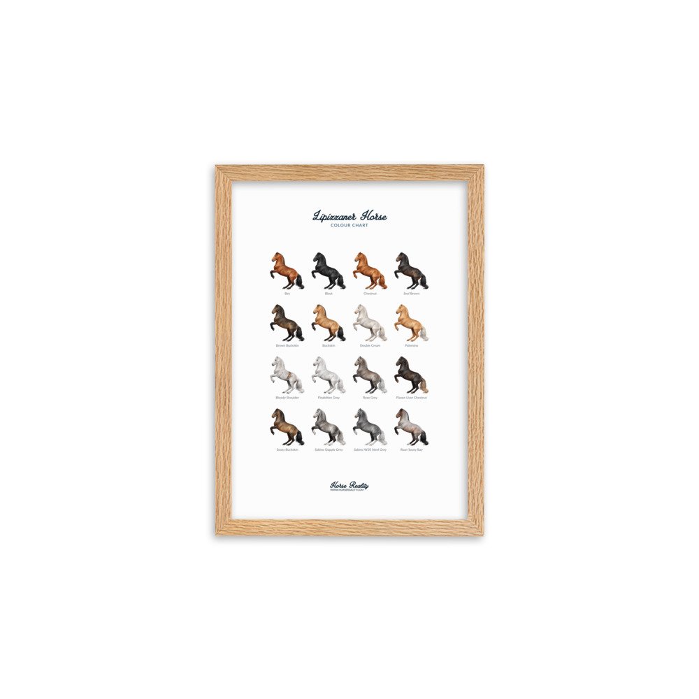 enhanced-matte-paper-framed-poster-(cm)-oak-a2-(42x59.4-cm)-transparent-673b00833c053.jpg