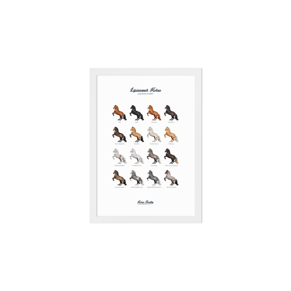enhanced-matte-paper-framed-poster-(cm)-white-a2-(42x59.4-cm)-transparent-673b00833c0c6.jpg