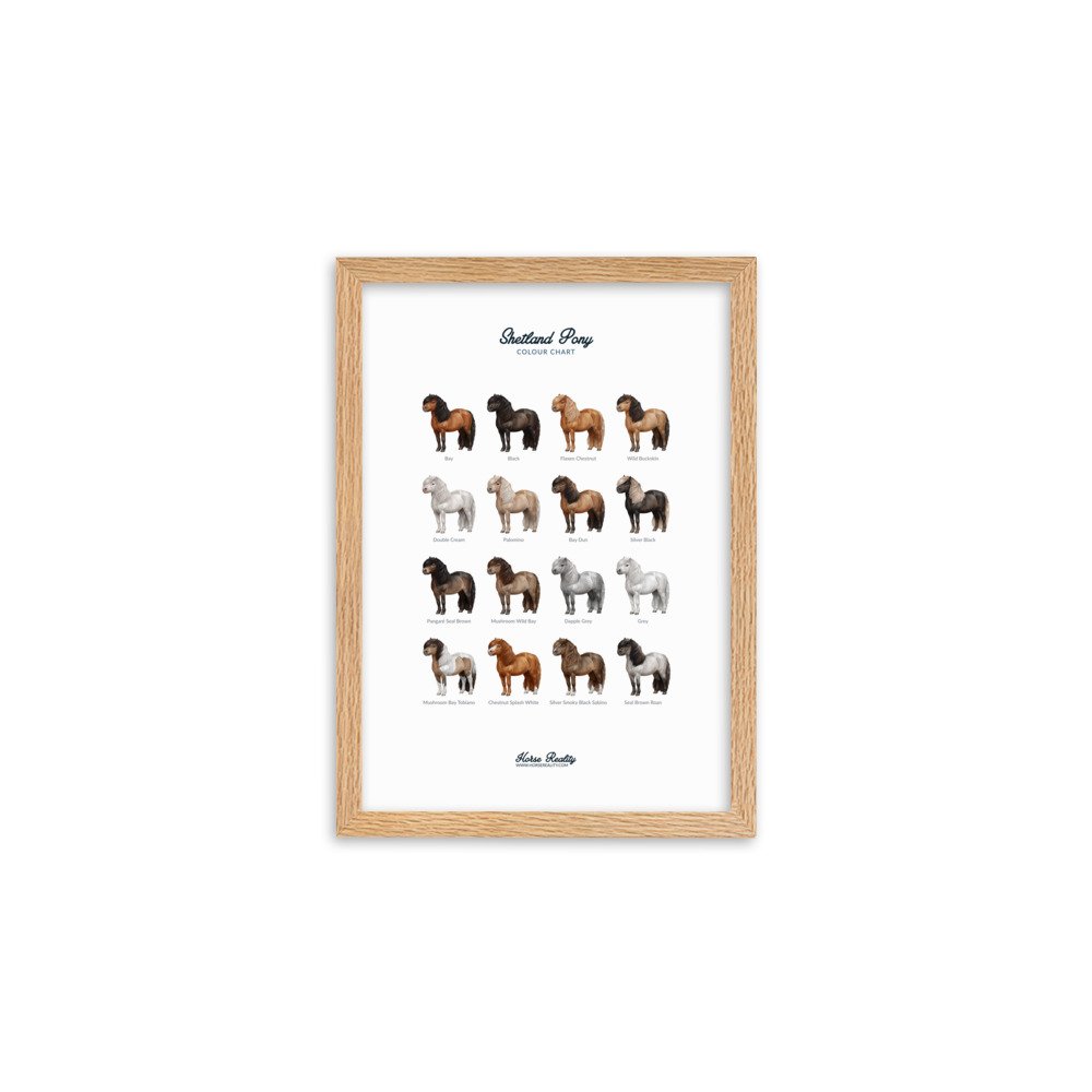enhanced-matte-paper-framed-poster-(cm)-oak-a2-(42x59.4-cm)-transparent-673b00e1ad1f1.jpg
