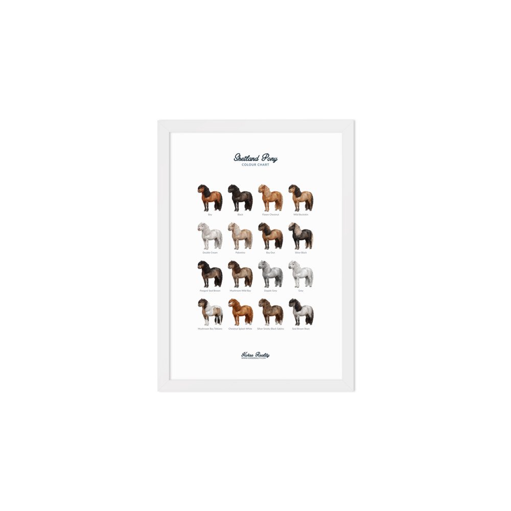enhanced-matte-paper-framed-poster-(cm)-white-a2-(42x59.4-cm)-transparent-673b00e1ad259.jpg