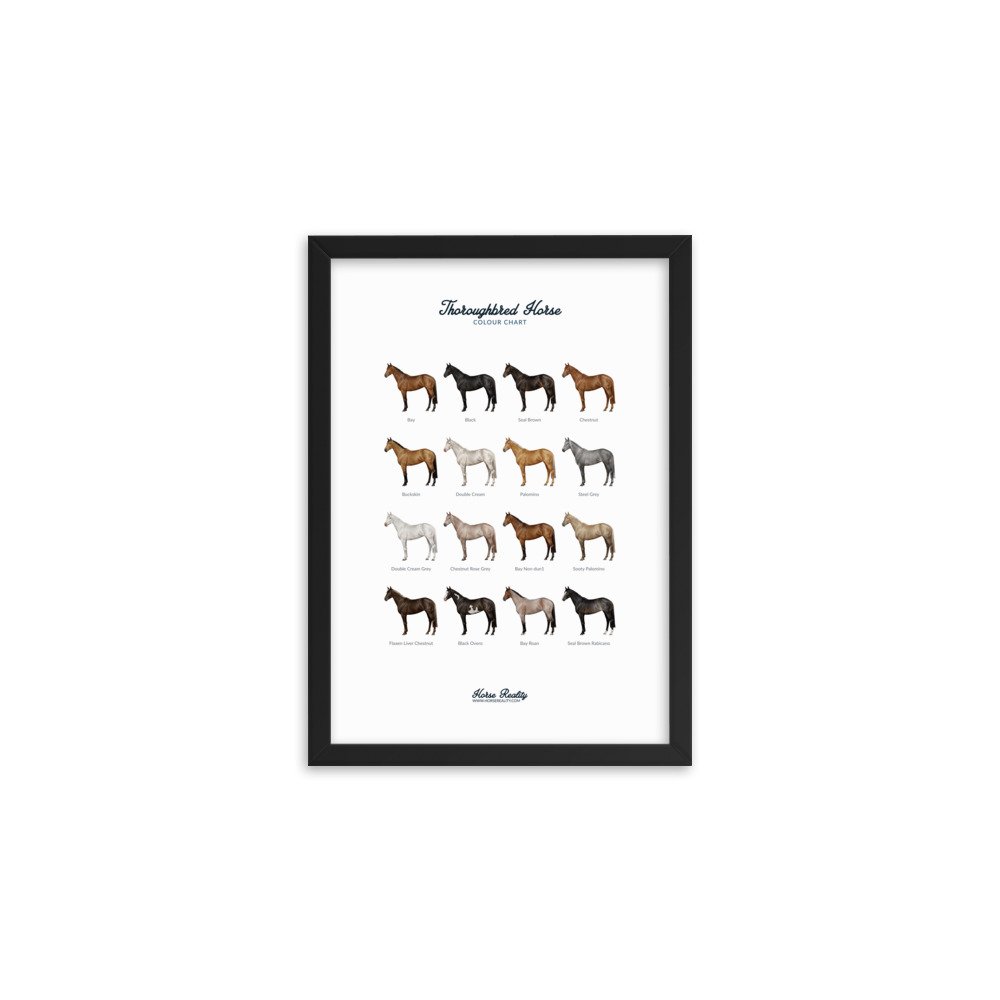 enhanced-matte-paper-framed-poster-(cm)-black-a2-(42x59.4-cm)-transparent-673e465766f14.jpg