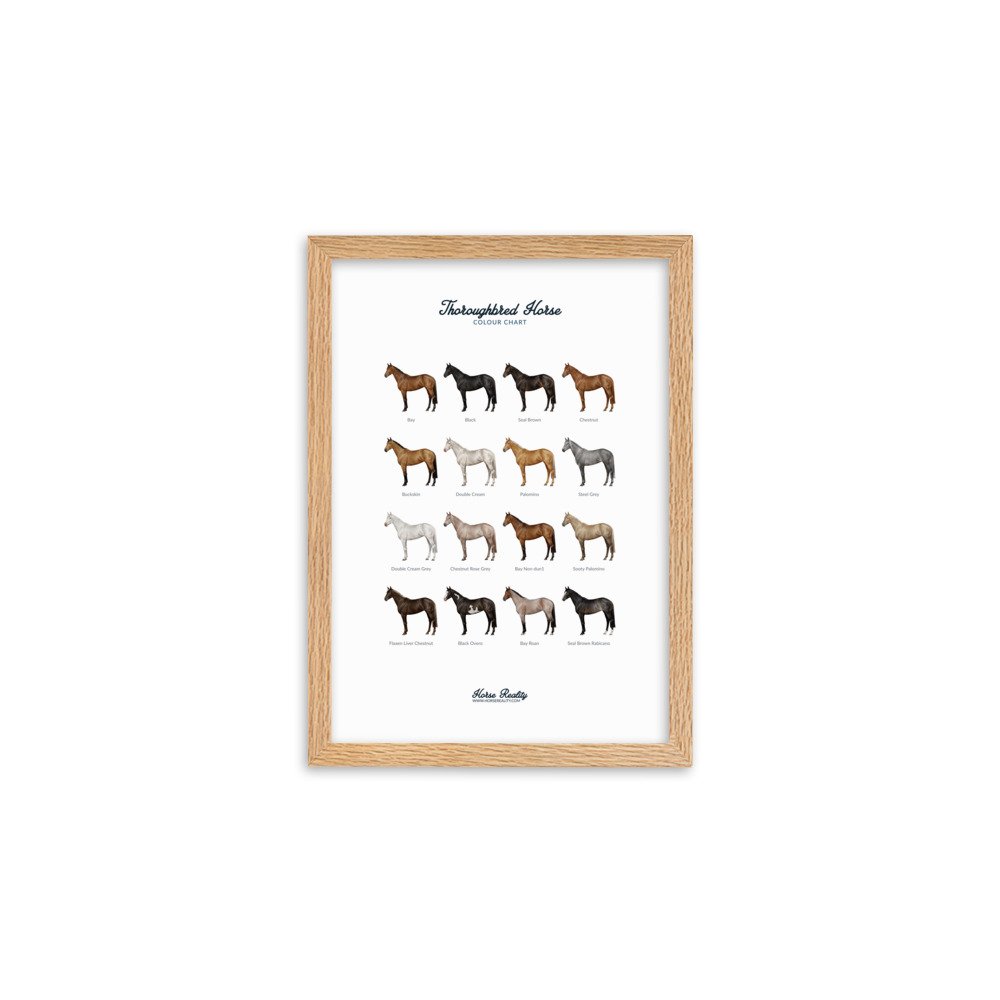 enhanced-matte-paper-framed-poster-(cm)-oak-a2-(42x59.4-cm)-transparent-673e465767467.jpg